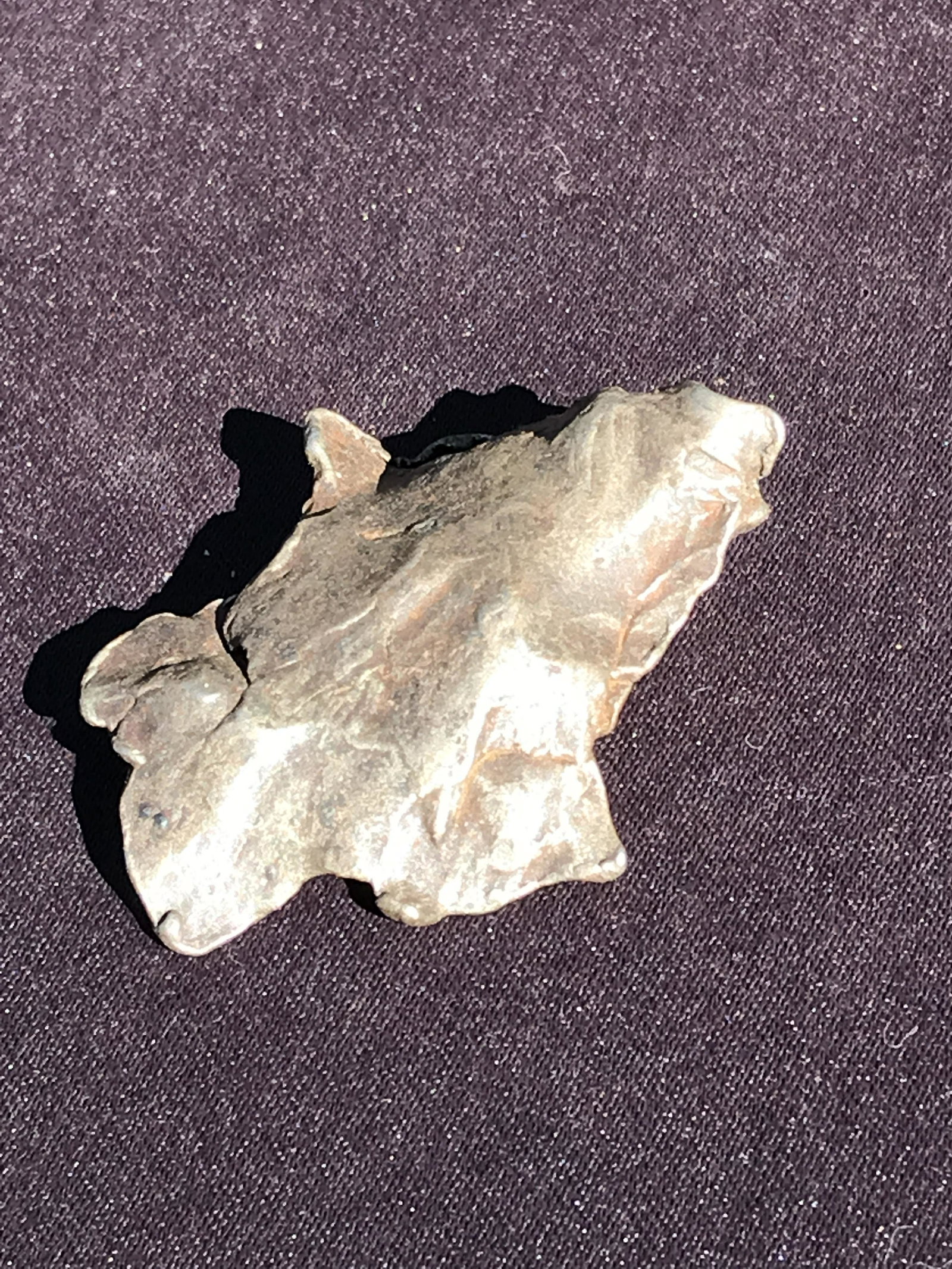 Meteorite: Sikhote-Alin (1 of 4)