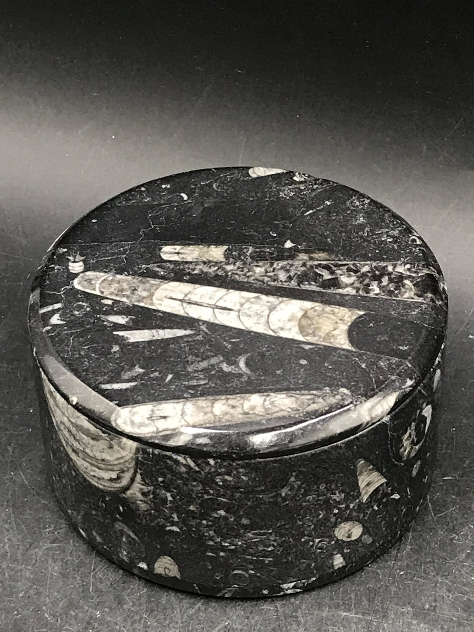 Fossil Orthoceras in Marble Round Box (1 of 4)