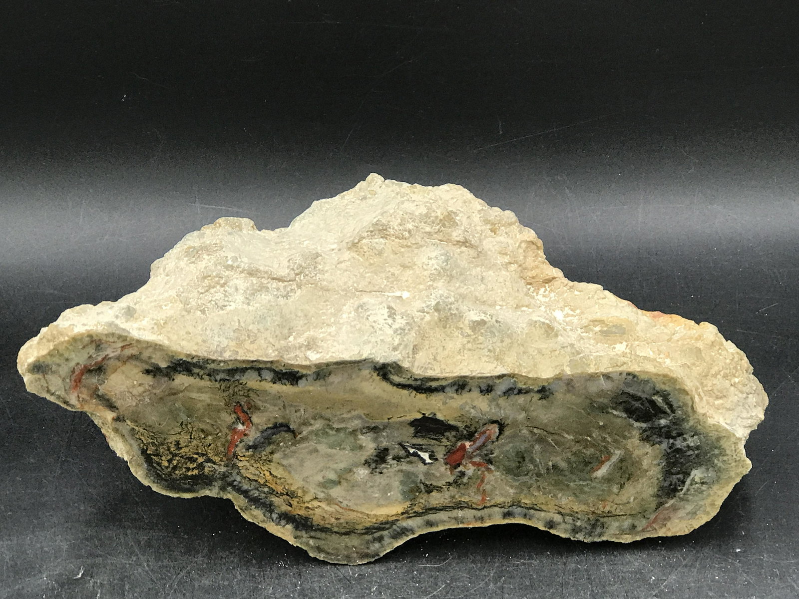 Coprolite End Cut (1 of 4)