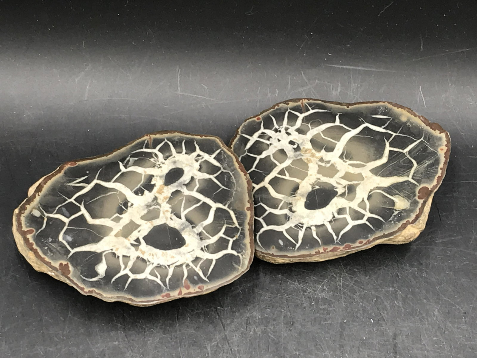 Septarian (1 of 4)