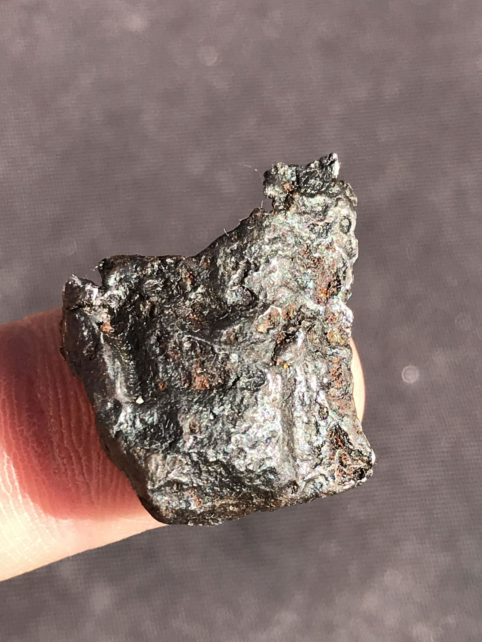 Meteorite: Sikhote-Alin (1 of 4)