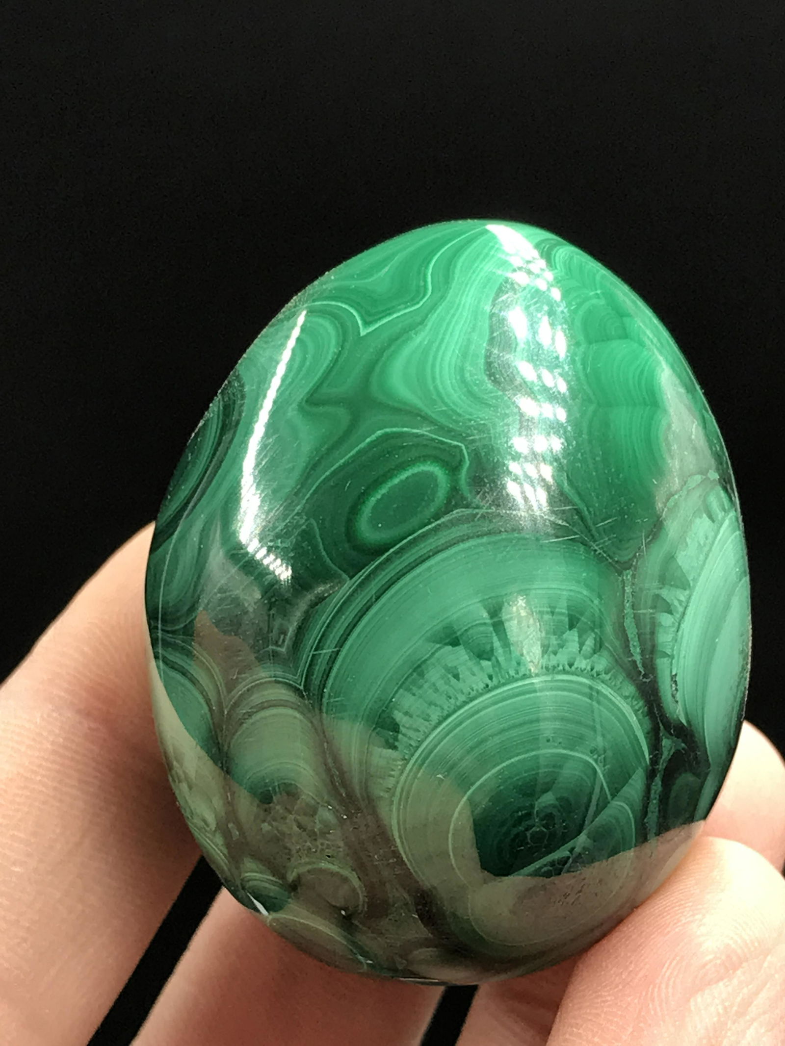 Malachite Egg: Malachite Egg Democratic Republic of Congo 1.8"