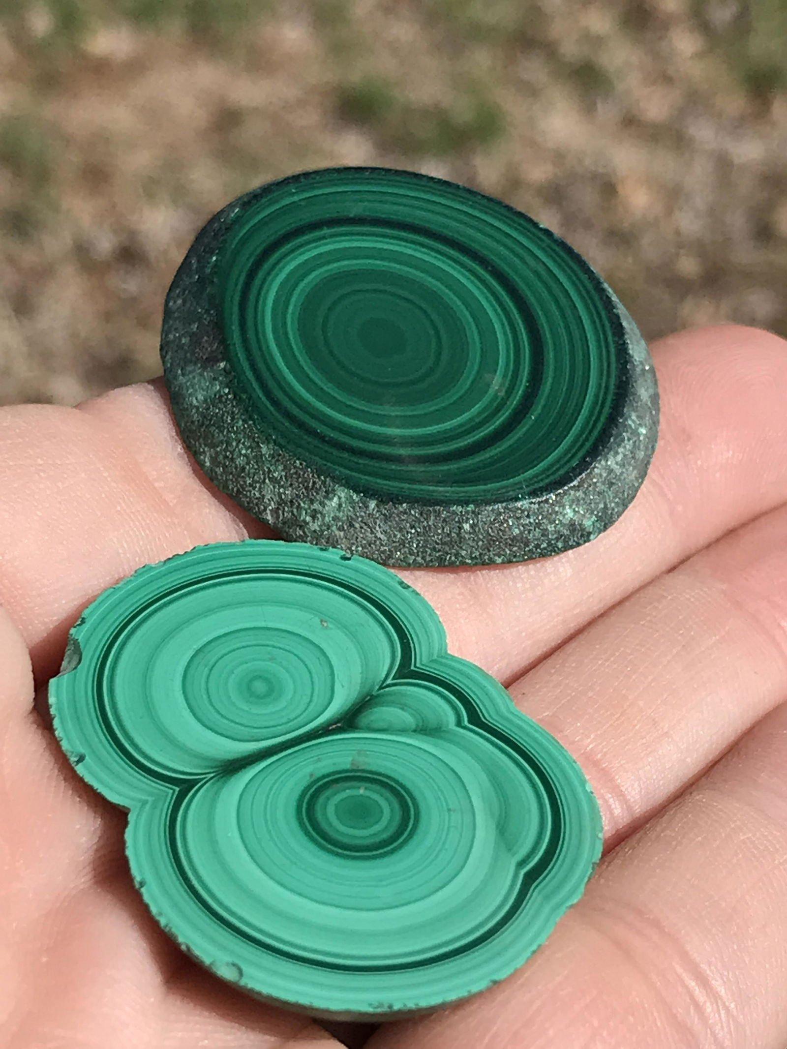 Malachite Slices (1 of 4)