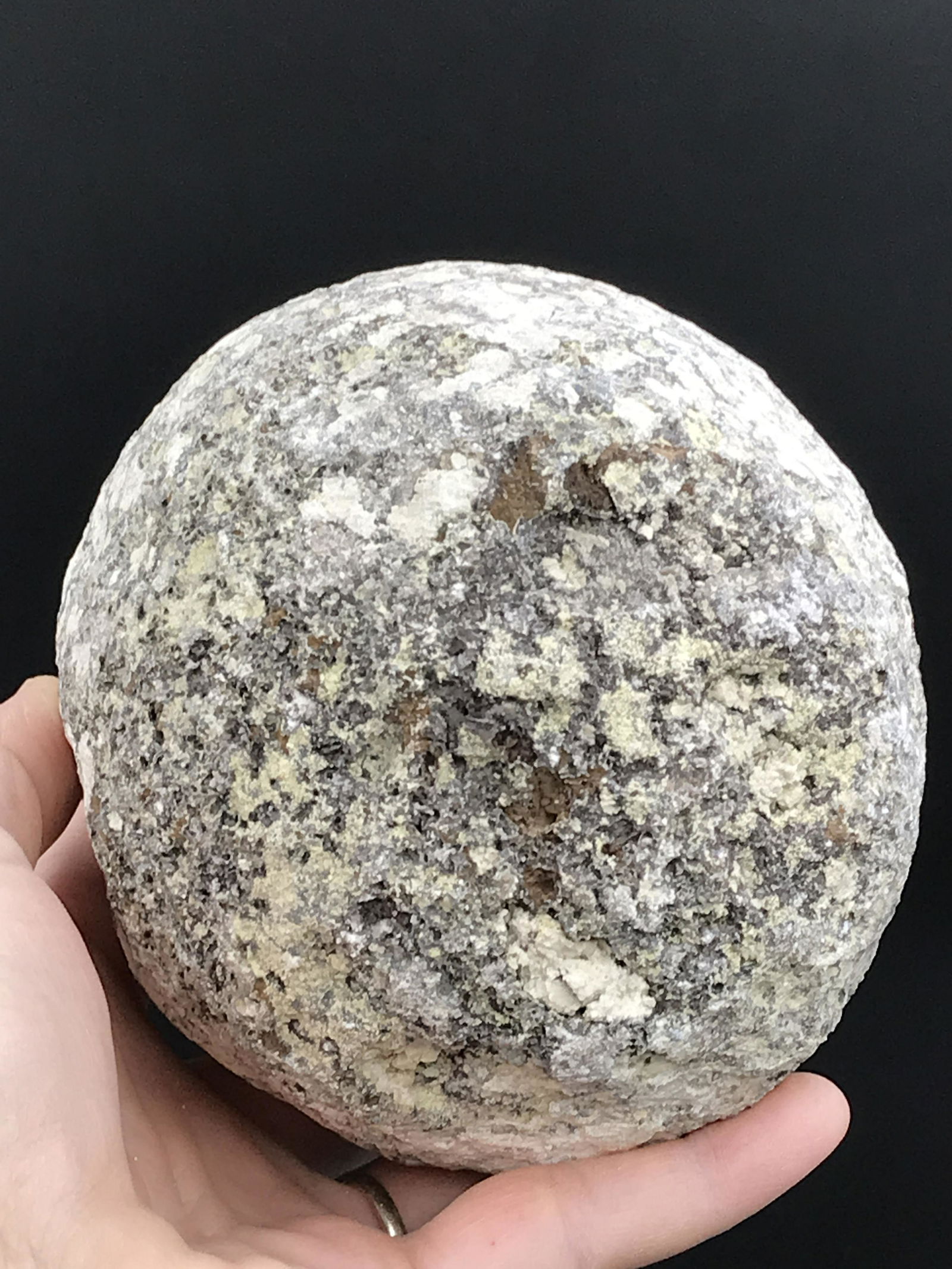 Coconut Geode (Hollow) (1 of 3)