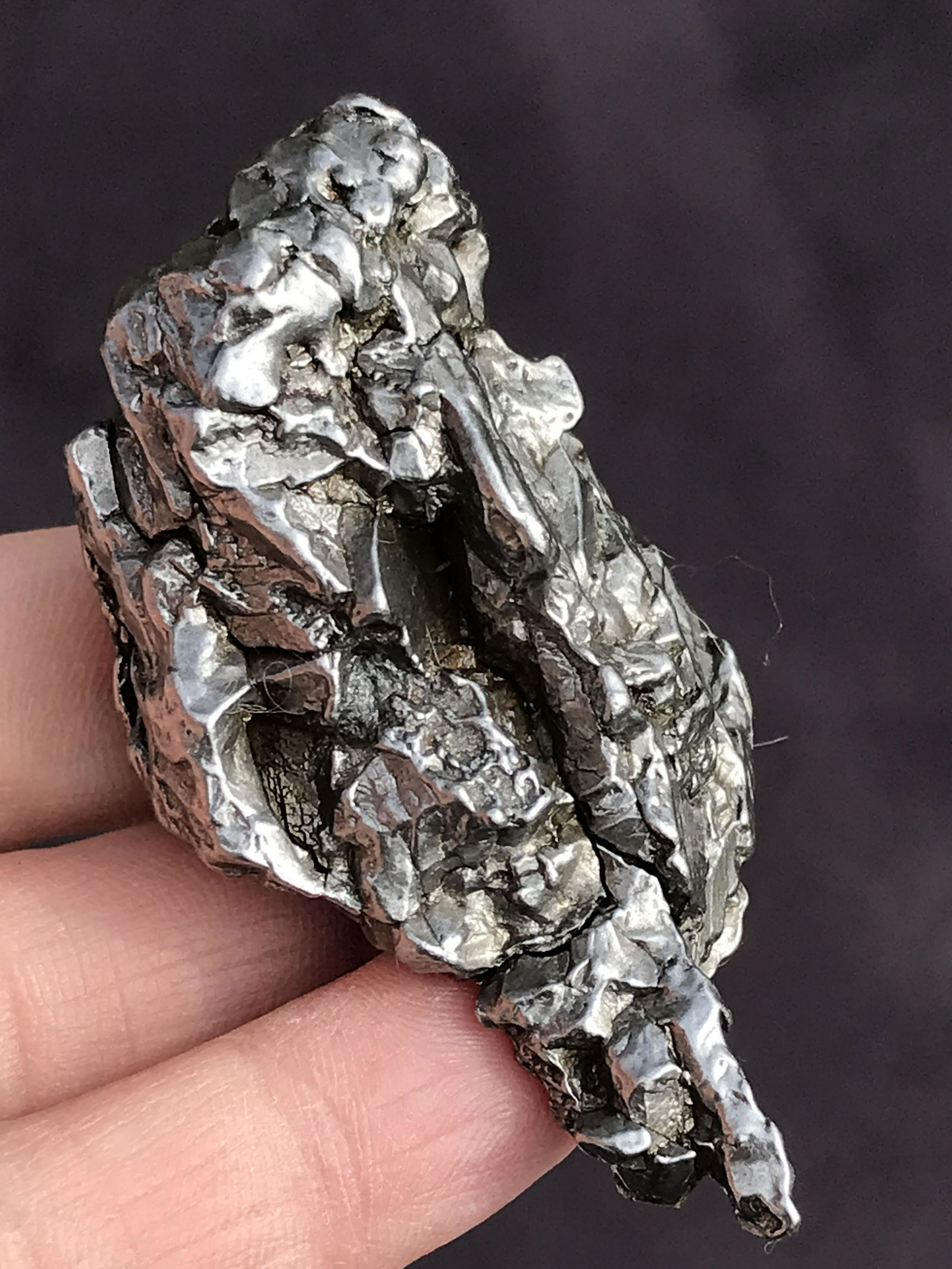 Meteorite: Campo del Cielo (1 of 4)