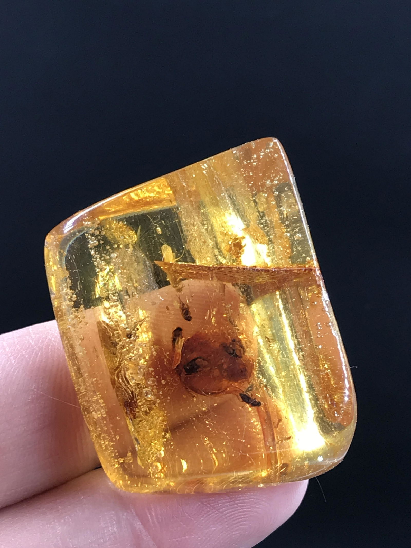 Amber, Fossil, Natural, Collectible, Specimen, Insect: Fossil Amber (Copal) 10-11 M.Y.O. Colombia, South America 8.7g