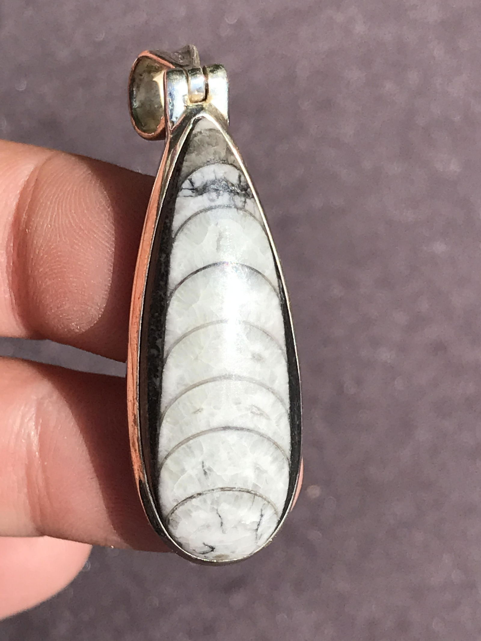Fossil, Orthoceras, Rock, Crystal, Natural, Jewelry, Pendant, Sterling: Fossil Orthoceras Sterling Silver Pendant