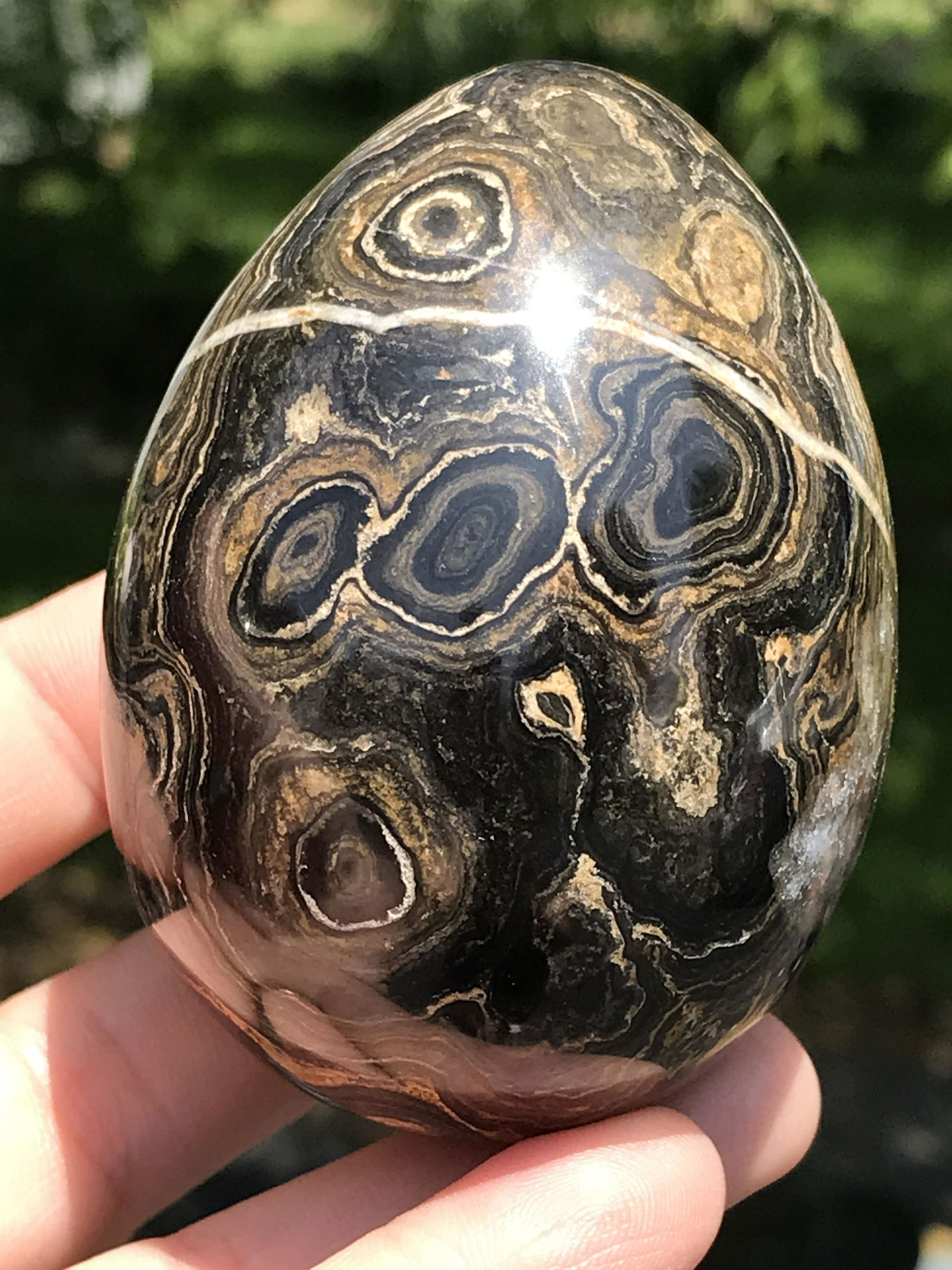 Fossil, Rock, Crystal, Natural, Decor, Collectible, Carving, Egg: Stromatolite Egg (Fossil Algae) Bolivia
