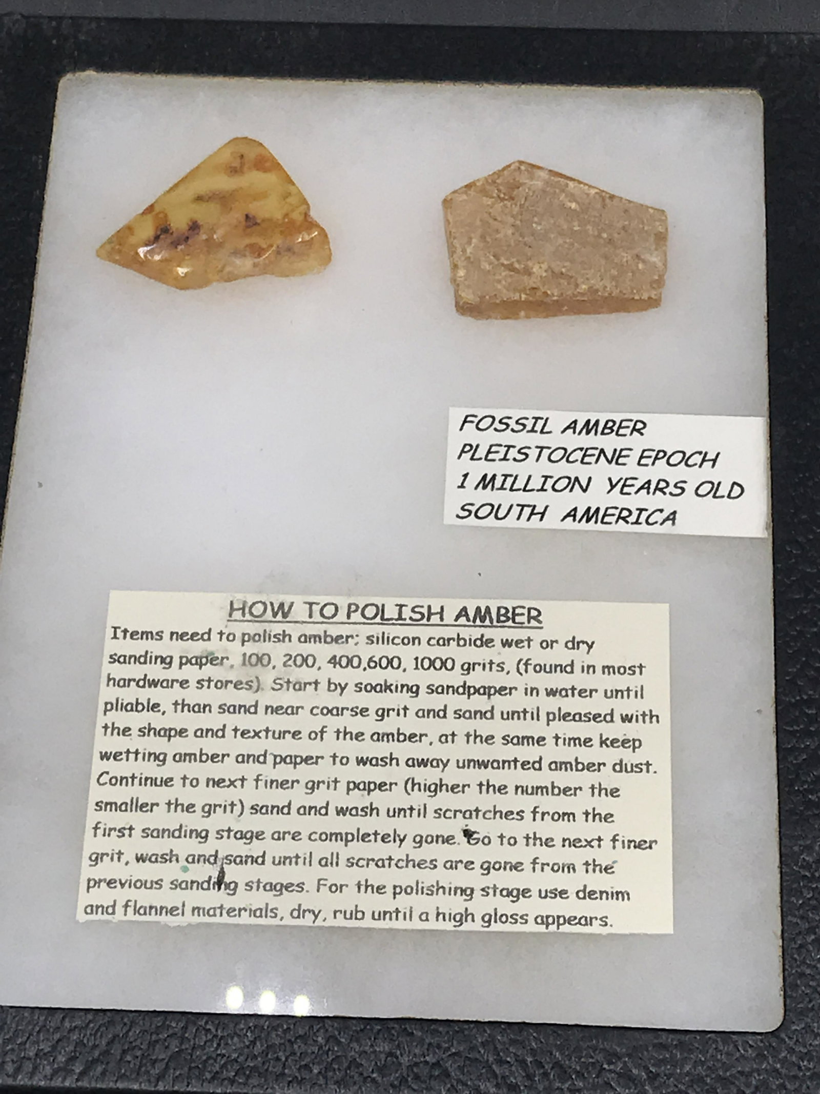 Amber, Fossil, Natural, Collectible, Specimen, Insect: Framed Amber Display Polished Copal with Insect Inclusions Raw Copal with Description