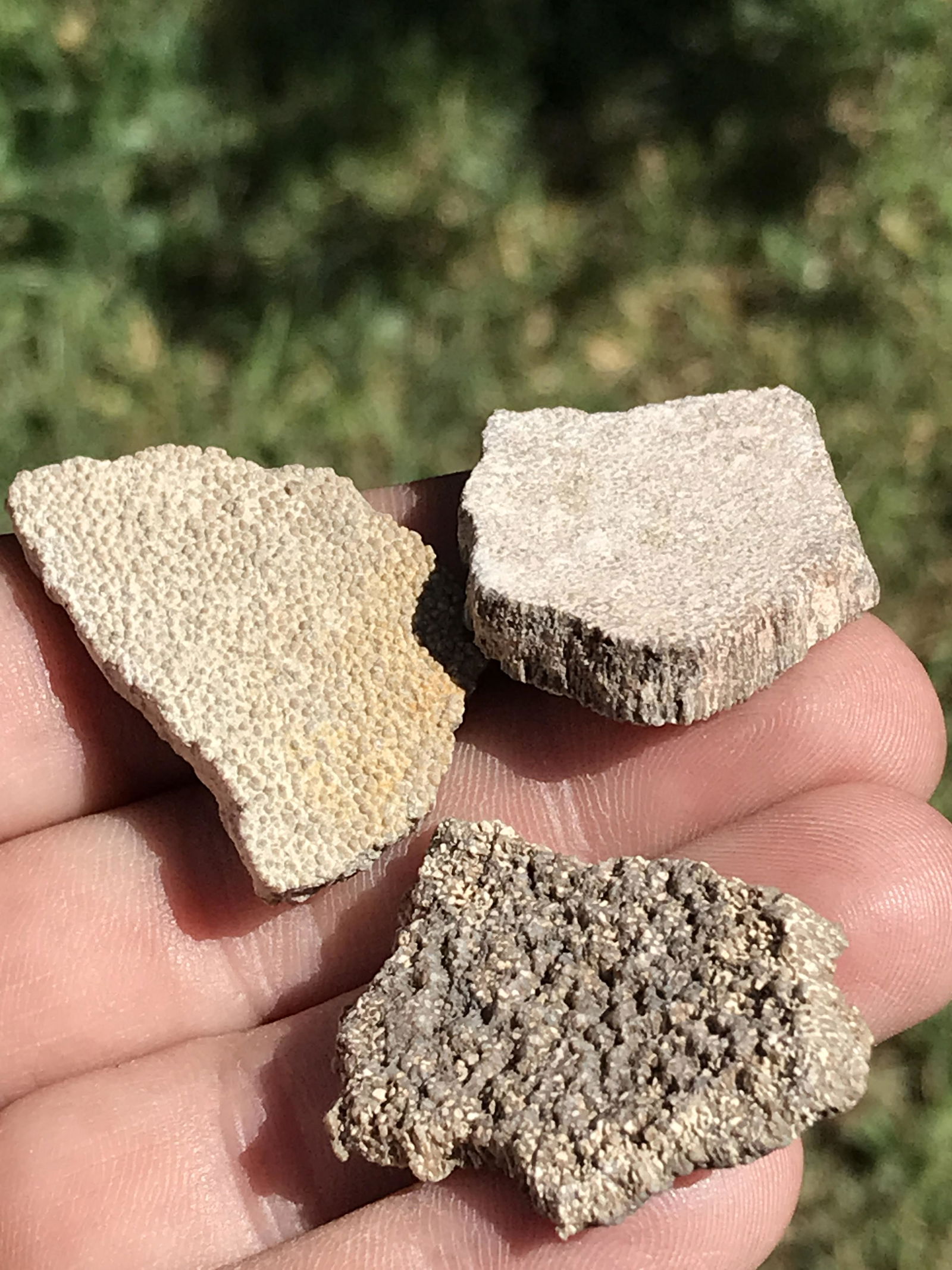 Dinosaur, Fossil, Natural, Collectible, Specimen, Eggshell: Fossil Dinosaur Eggshell 3 Fragments Argentina .6oz