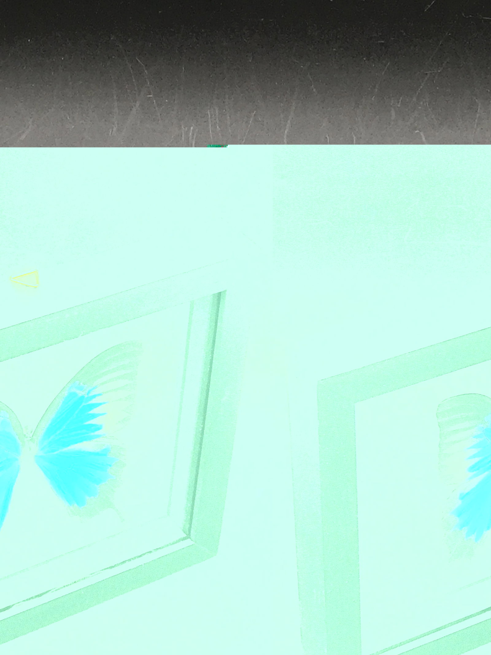 Butterfly, Natural, Decor, Collectible, Insect (1 of 4)