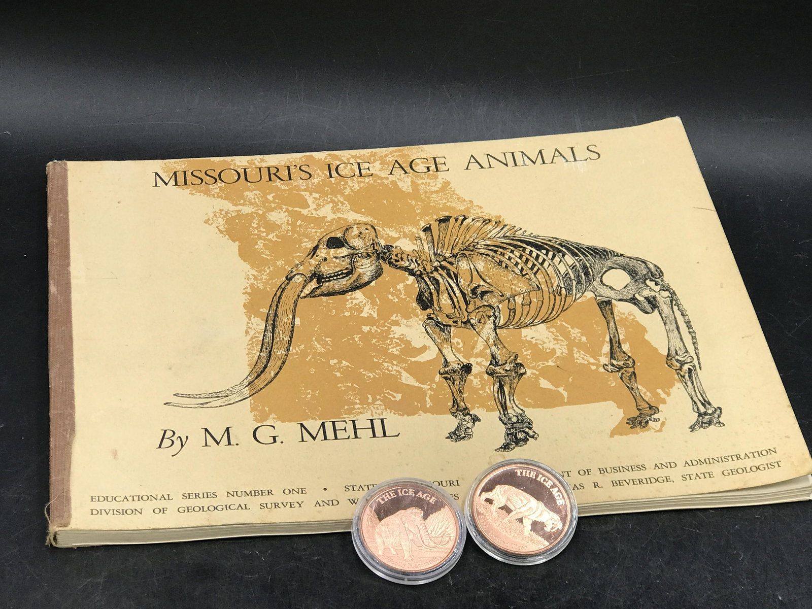 Book, Reference, Collectible, Decor (1 of 5)