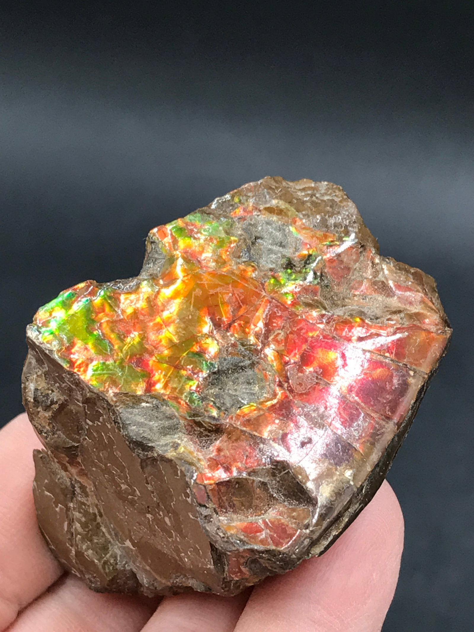 Rock, Crystal, Natural, Collectible, Mineral, Specimen: Ammolite Cutting Rough 83g