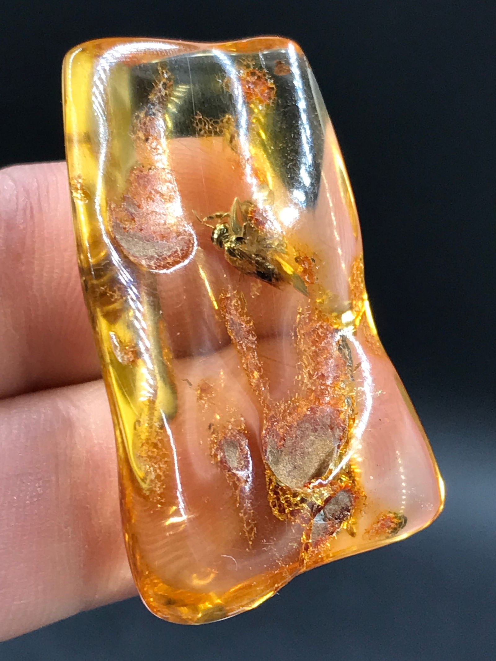 Amber, Fossil, Natural, Collectible, Specimen, Insect: Amber (Copal) with Insect Inclusion Colombia 10 M.Y.O. 4.7g