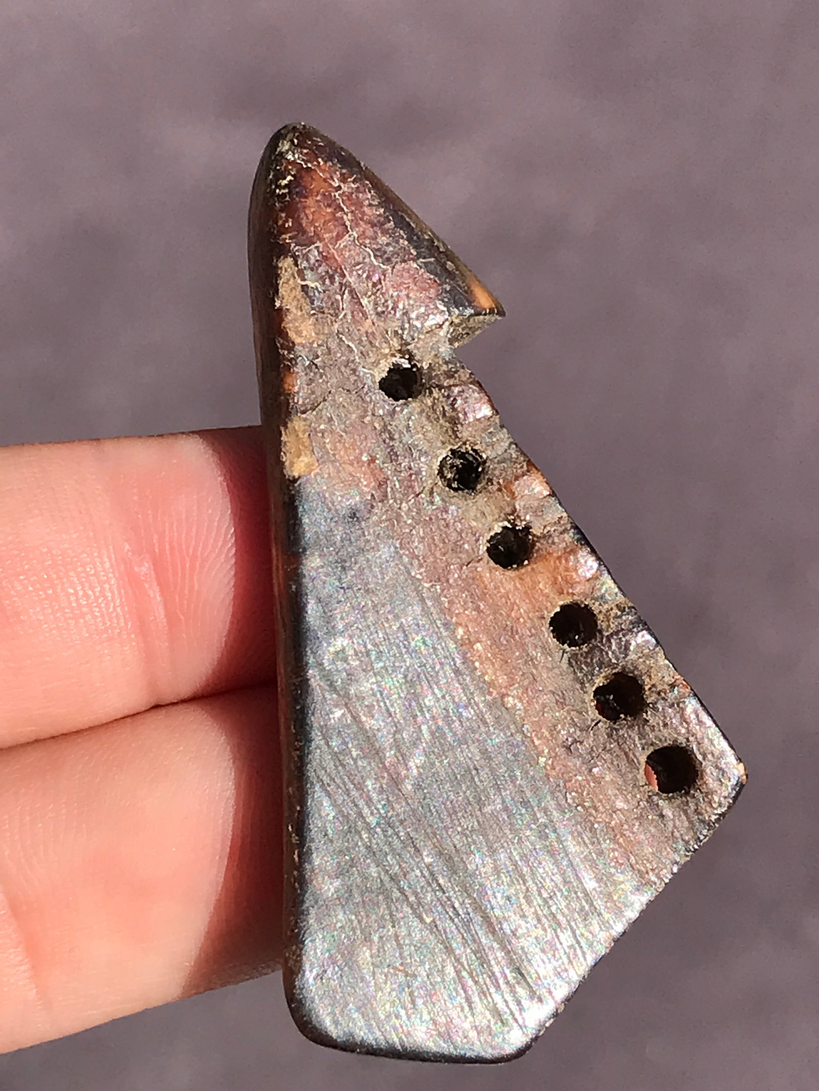 Artifact, Rock, History, Collectible, Tool,: Artifact Sail Part Walrus Bone AK