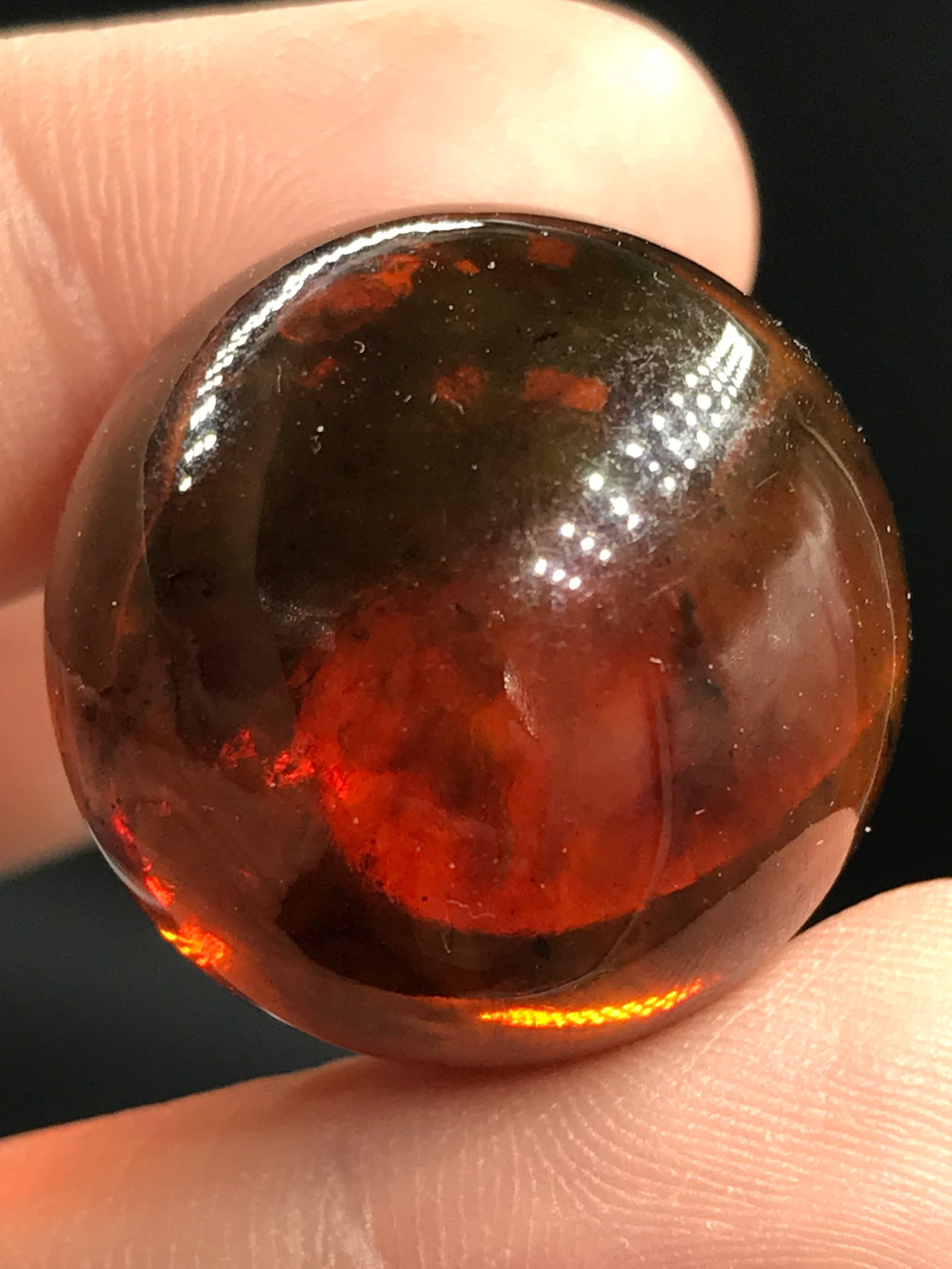 Amber, Fossil, Natural, Collectible, Specimen, Baltic, Sphere: Baltic Amber Sphere 40 M.Y.O. Lithuania .9"