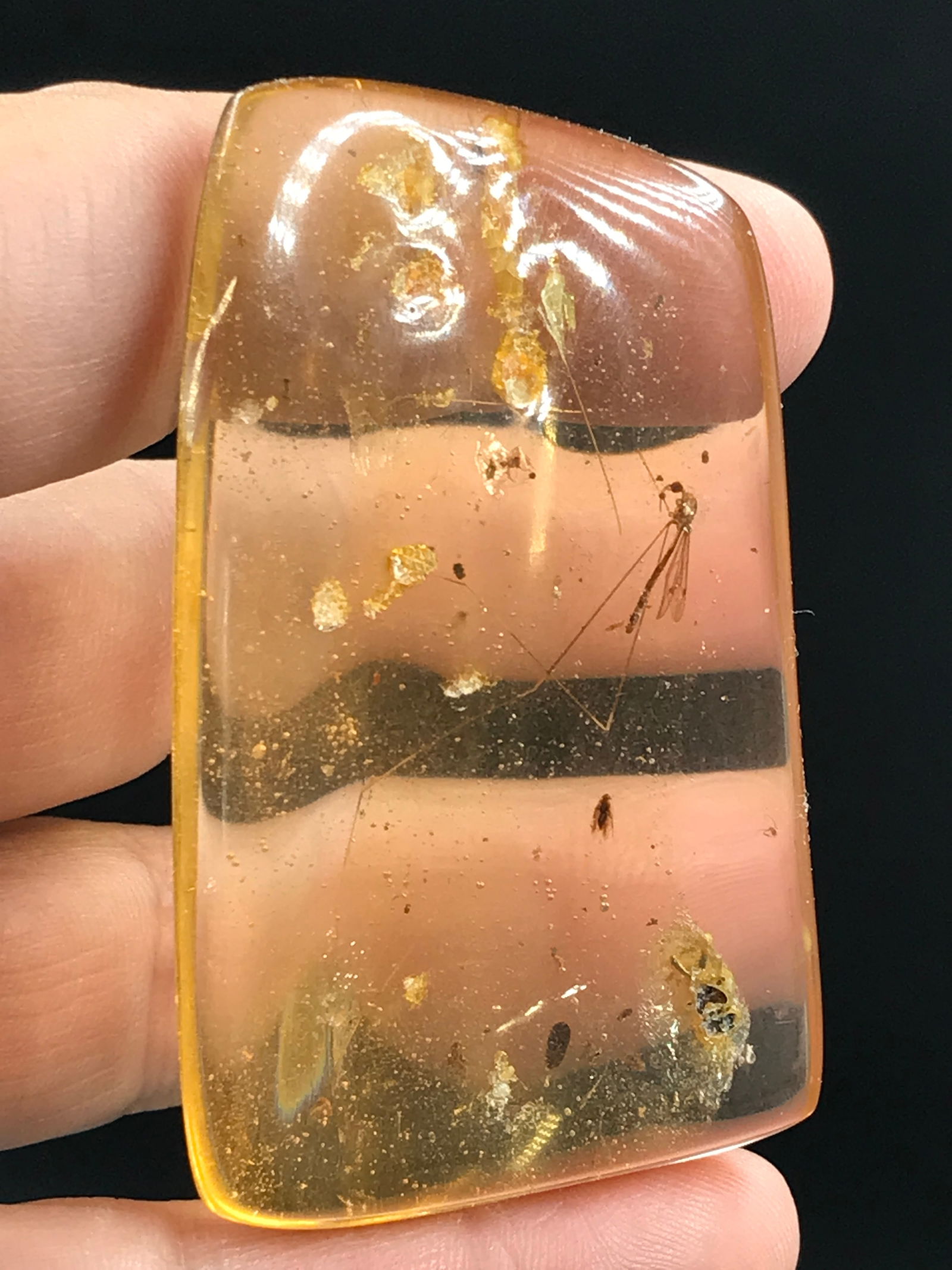 Amber, Fossil, Natural, Collectible, Specimen, Insect: Amber (Copal) with Insect Inclusions Colombia 10 M.Y.O. 12g