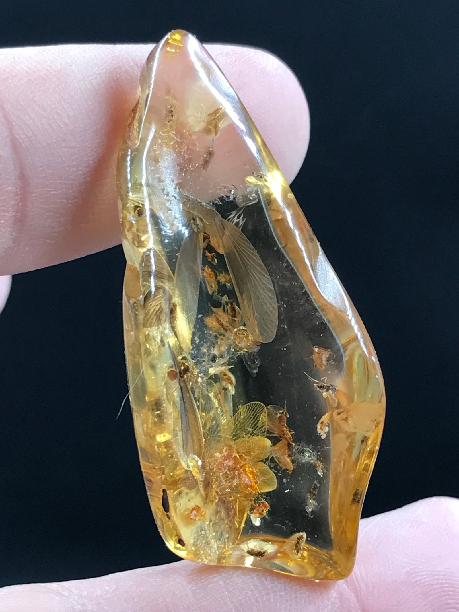 Amber, Fossil, Natural, Collectible, Specimen, Insect: Amber (Copal) with Insect Inclusion Colombia 10 M.Y.O. 5g