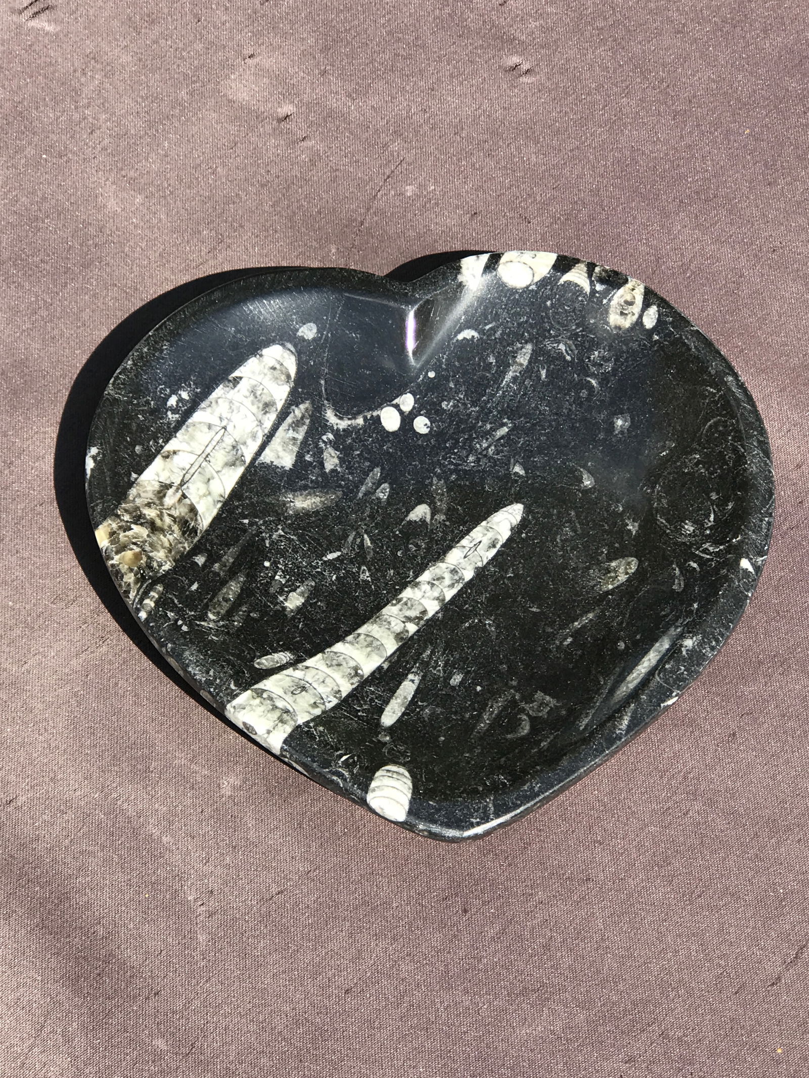 Fossil, Orthoceras, Rock, Crystal, Natural, Decor, Collectible, Carving, Heart, Dish: Fossil Orthoceras in Marble Heart Dish