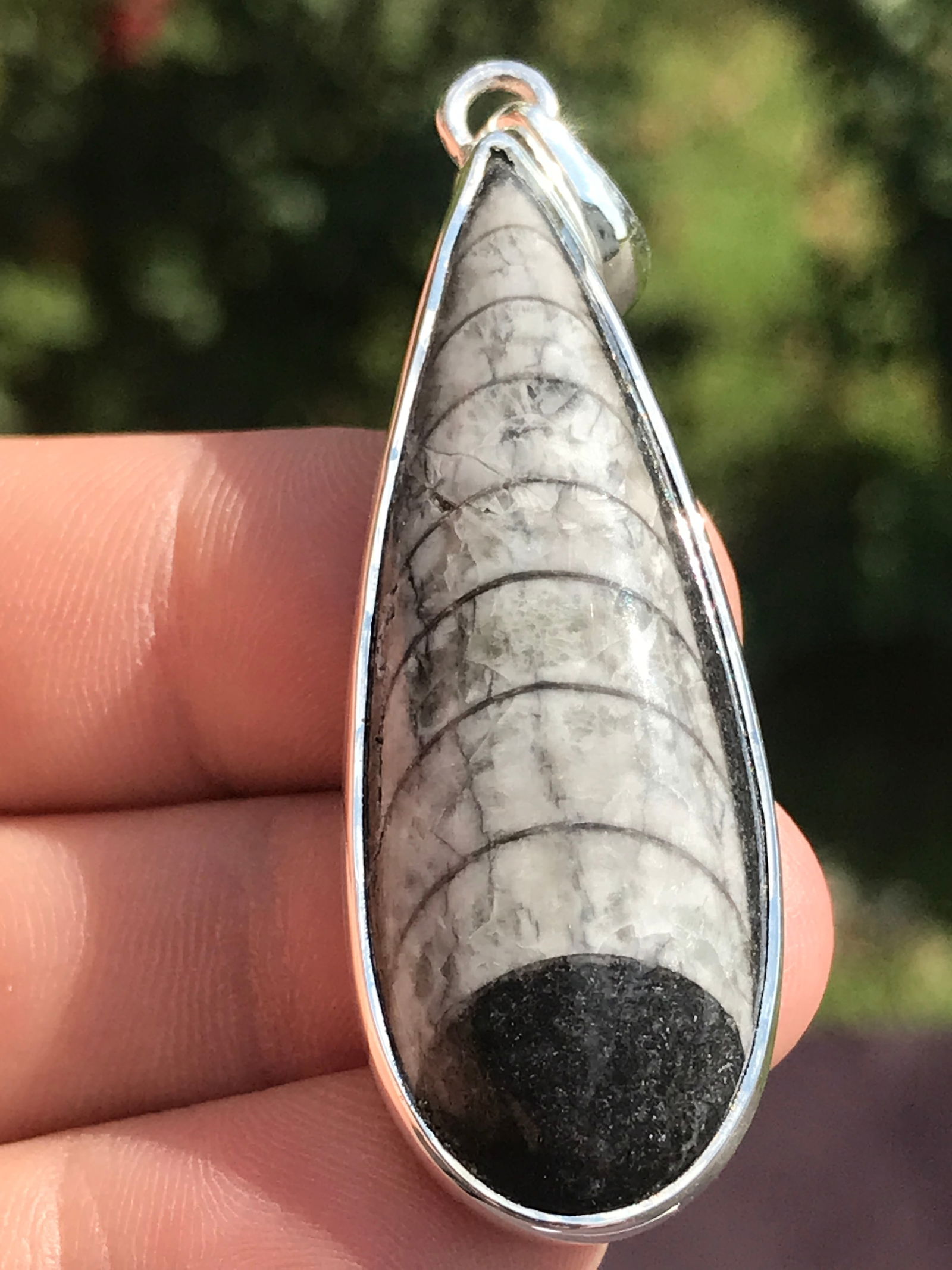 Fossil, Orthoceras, Crystal, Natural, Jewelry, Pendant, Sterling: Fossil Orthoceras Sterling Silver Pendant