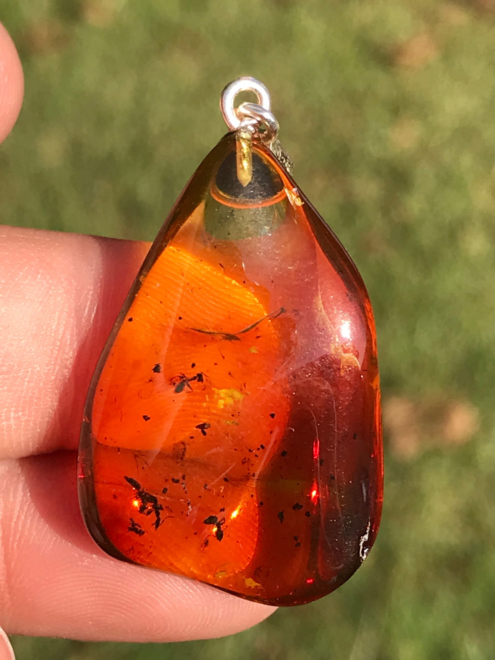 Amber, Baltic, Natural, Collectible, Sterling, Pendant, Jewelry (1 of 4)