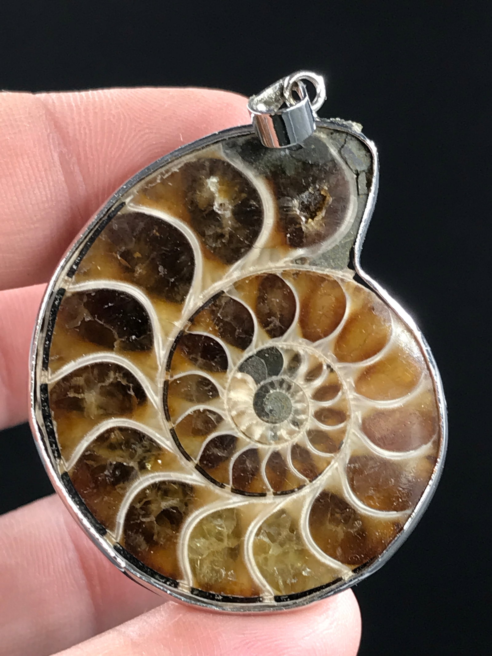 Fossil, Ammonite, Rock, Natural, Jewelry, Pendant, Sterling (1 of 5)