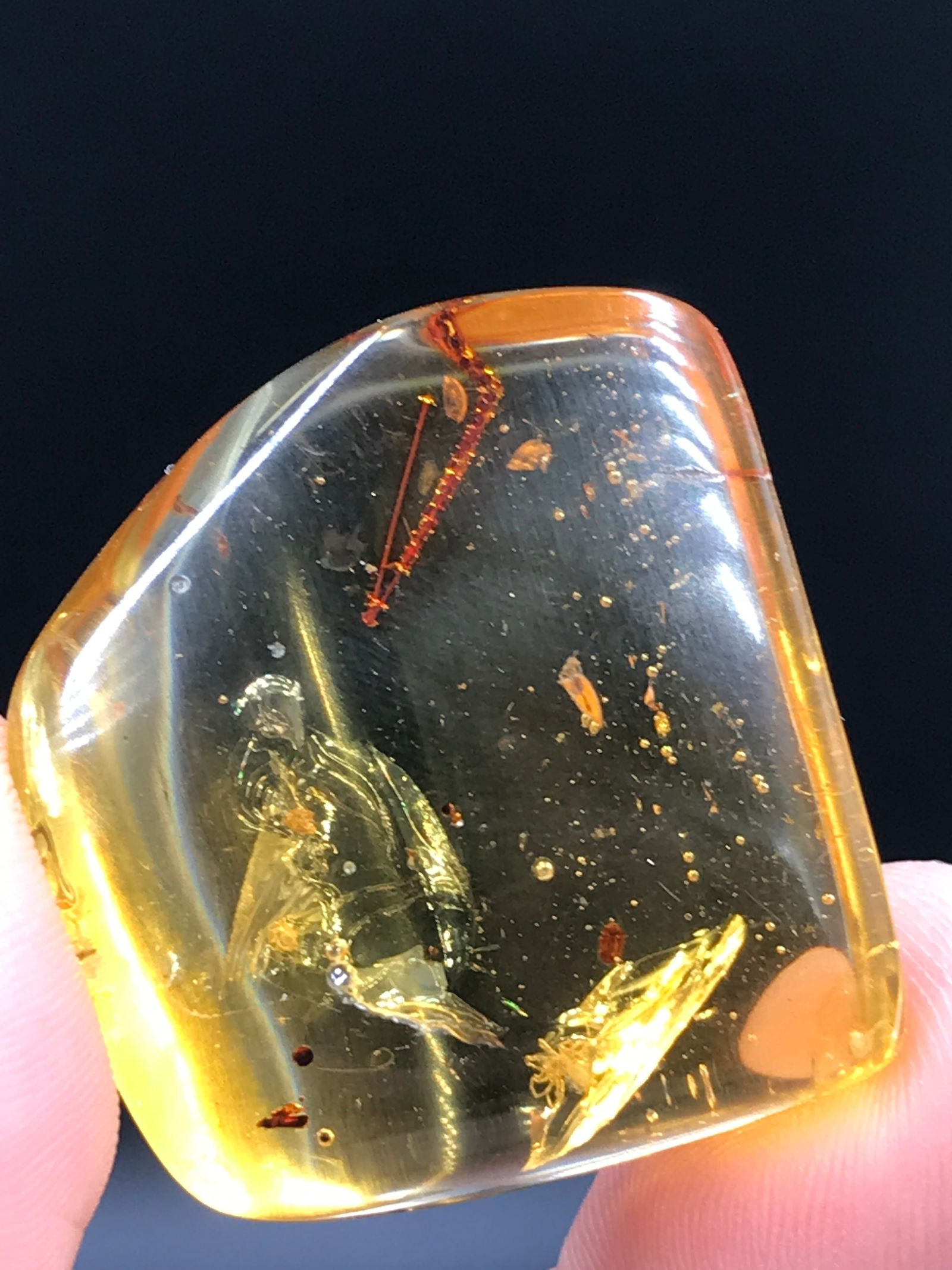 Amber, Fossil, Natural, Collectible, Specimen, Insect: Amber (Copal) with Insect Inclusions Colombia 10 M.Y.O. 7g