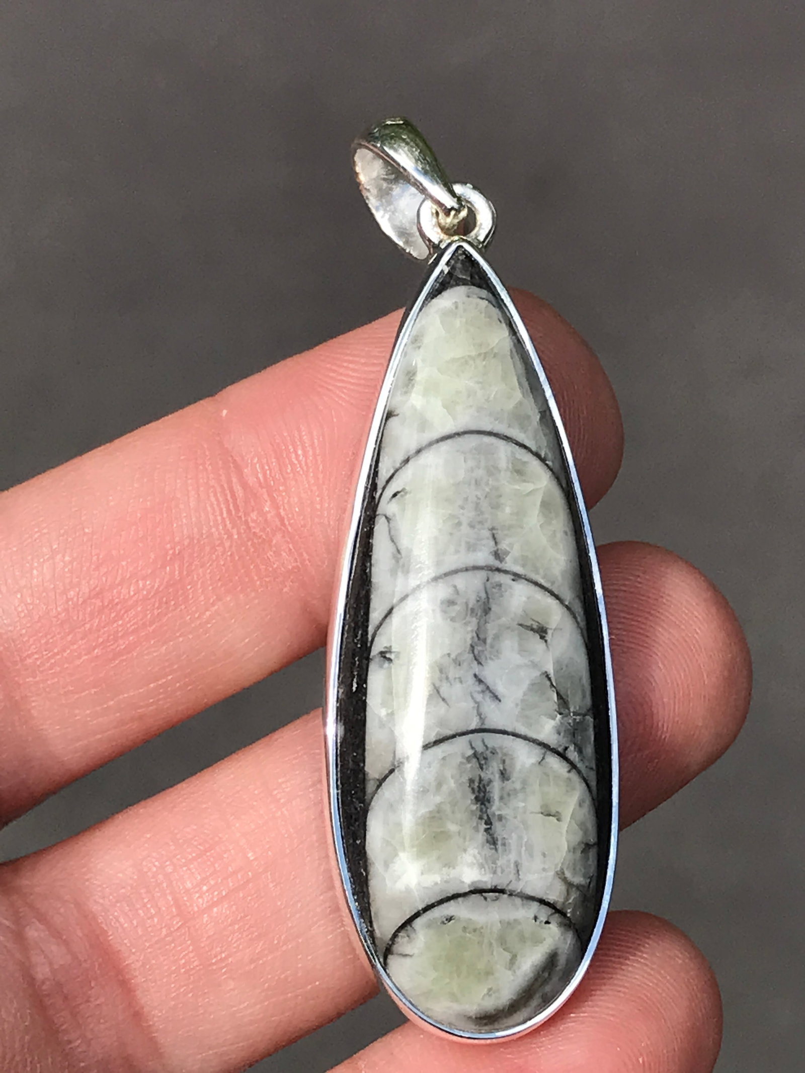 Fossil, Orthoceras, Rock, Crystal, Natural, Jewelry, Pendant, Sterling: Fossil Orthoceras Sterling Silver Pendant