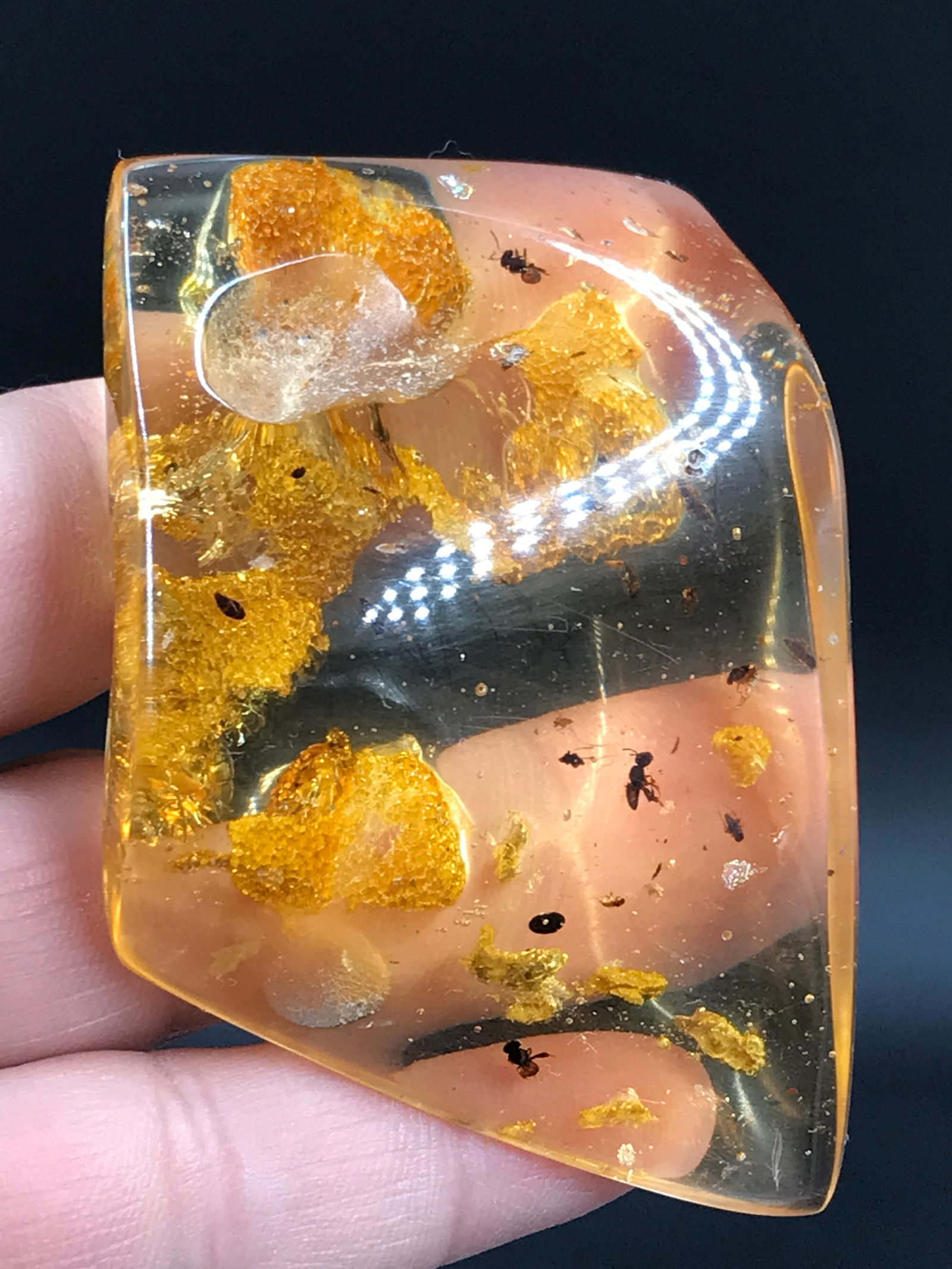 Amber, Fossil, Natural, Collectible, Specimen, Insect: Amber (Copal) with Insect Inclusions Colombia 10 M.Y.O. 34g