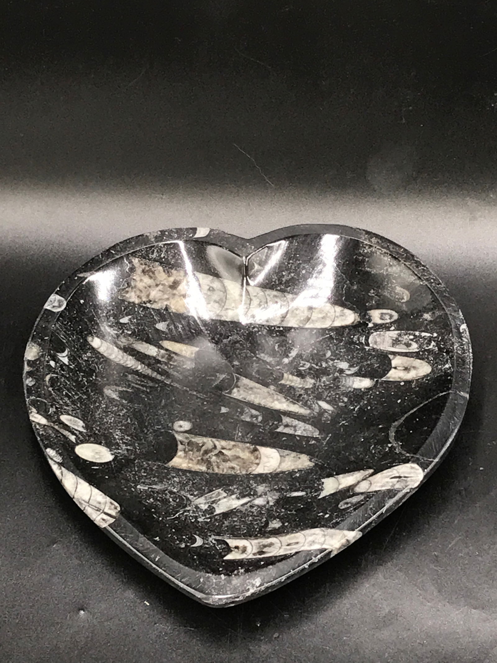 Fossil, Orthoceras, Rock, Crystal, Natural, Decor, Collectible, Carving, Heart, Dish: Fossil Orthoceras Heart Dish