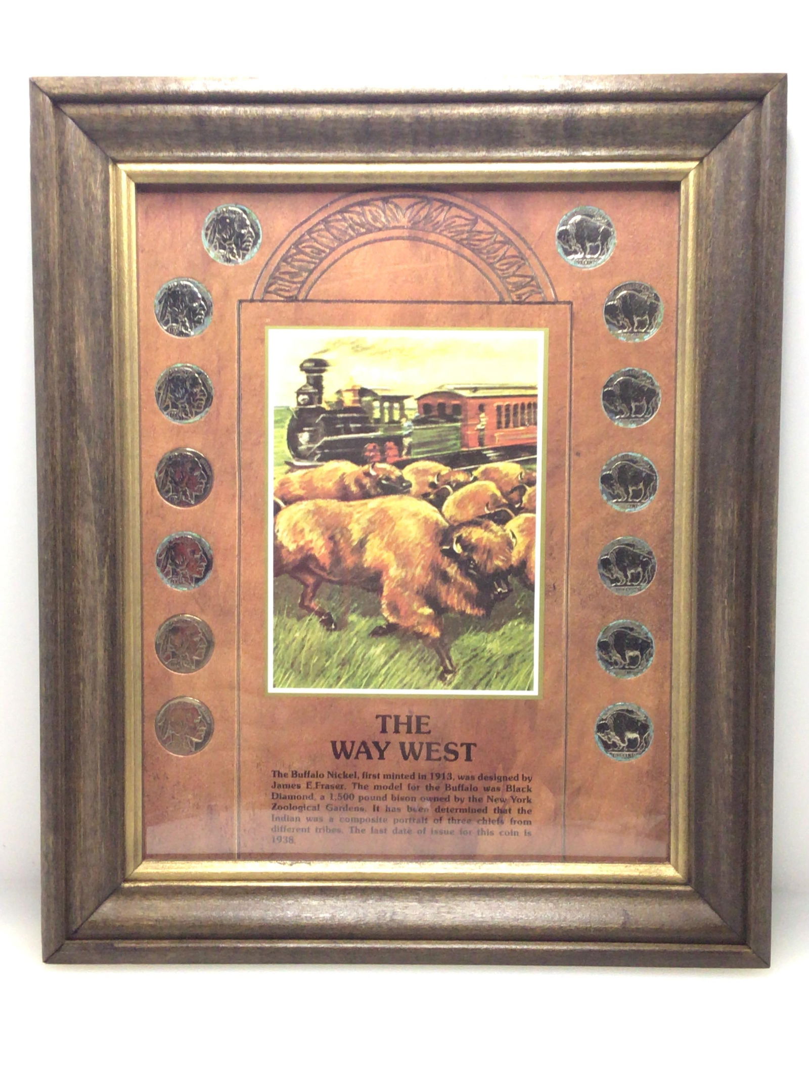 Buffalo nickel collection (1 of 3)