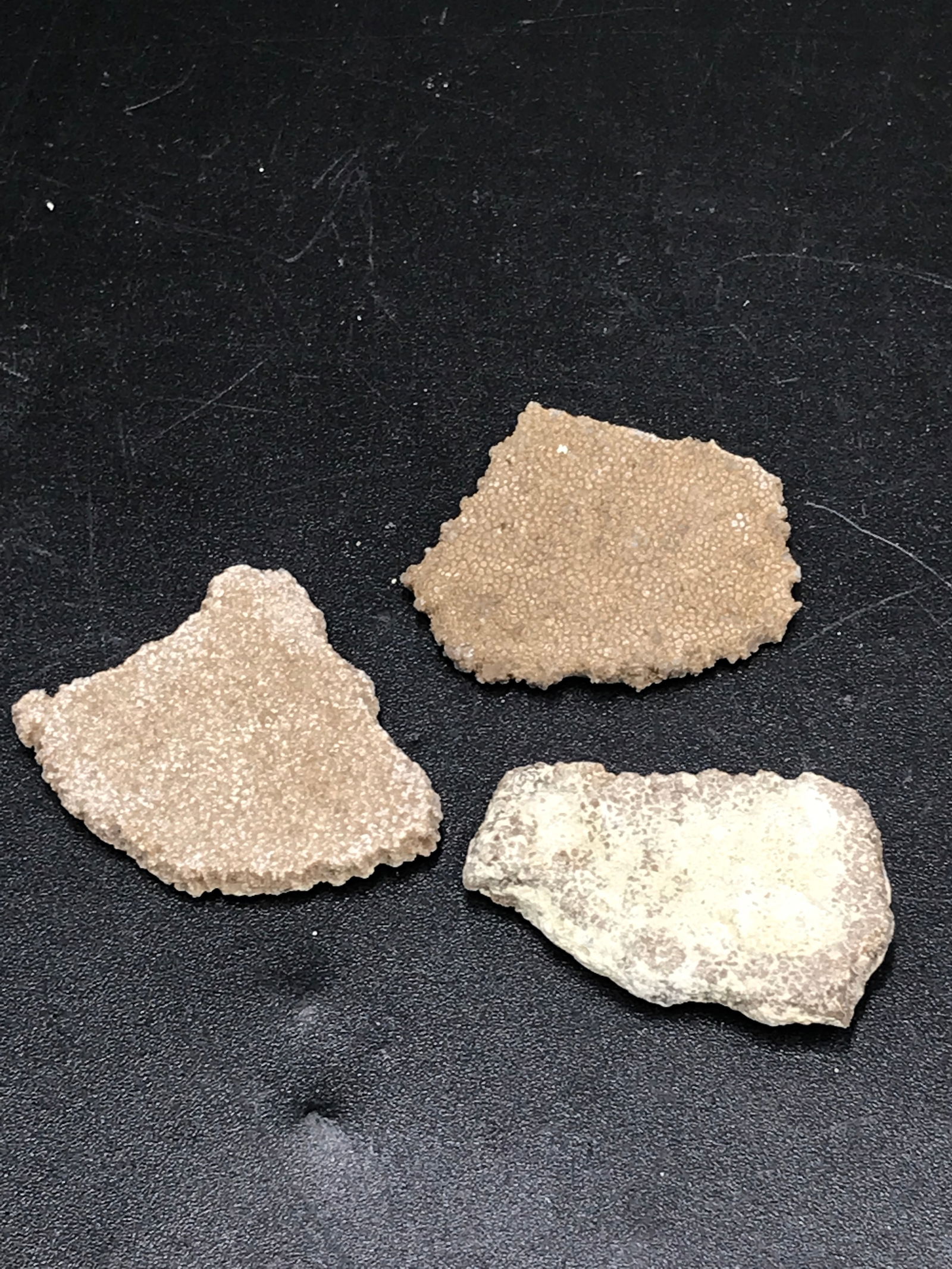 Dinosaur, Fossil, Natural, Collectible, Specimen, Egg Shell (1 of 5)