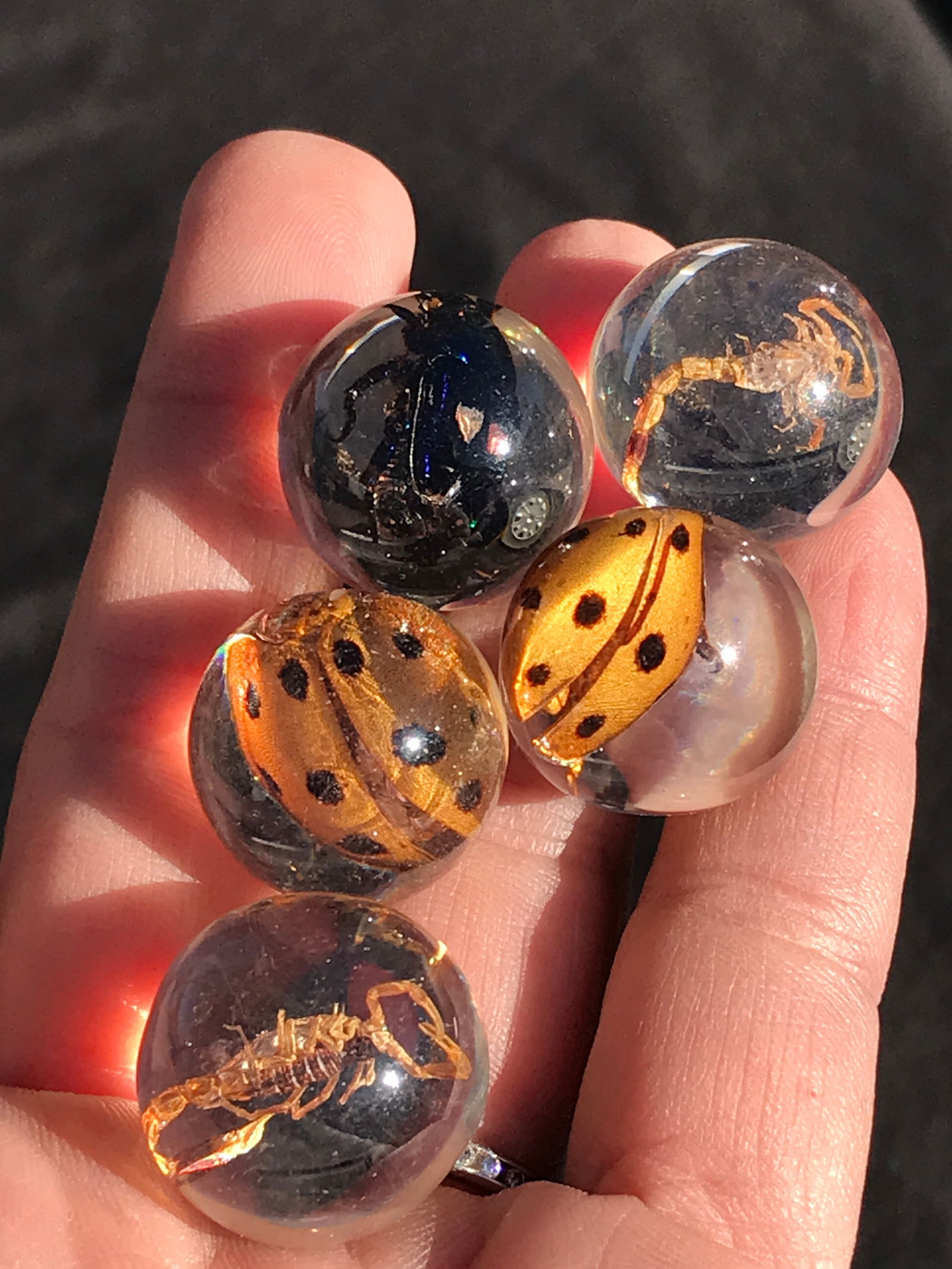 Acrylic, Decor, Collectible, Marbles, Insect: 5pc Acrylic Bug Marbles