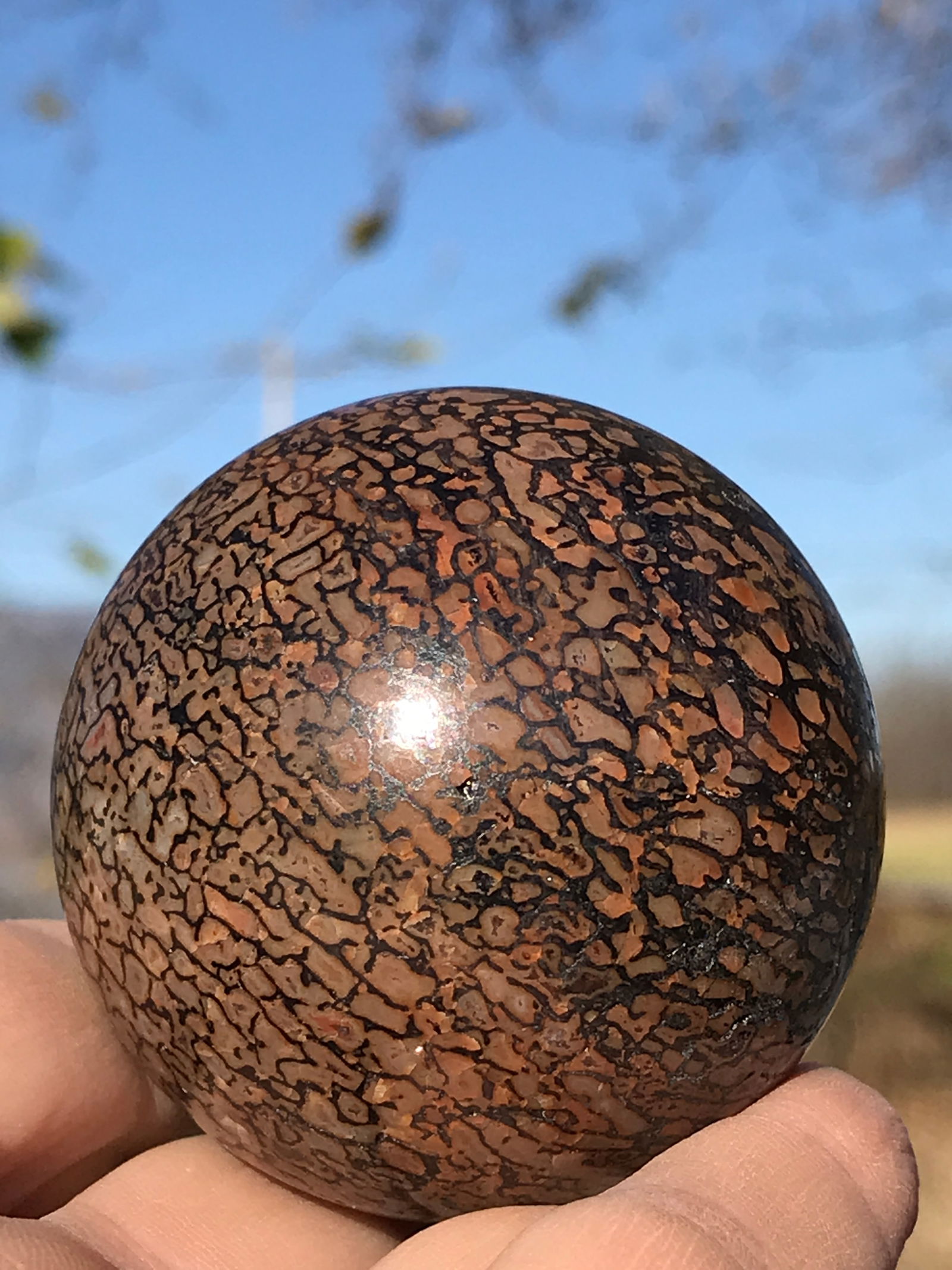 Dinosaur, Bone, Fossil, Rock, Crystal, Natural, Decor, Collectible, Carving, Sphere: Dinosaur Bone Sphere Jurassic UT 1970s