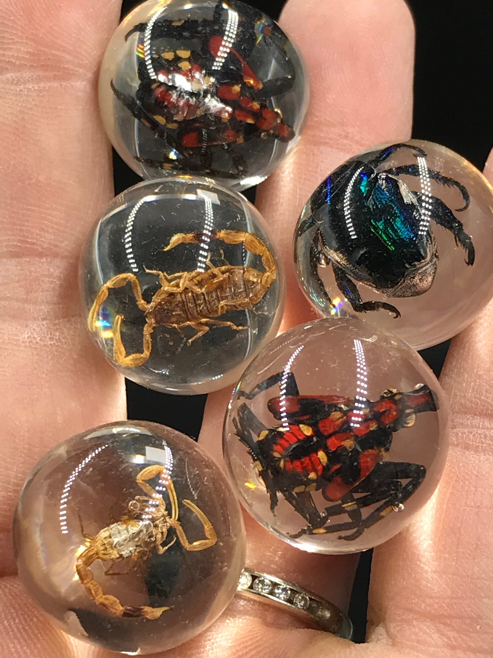 Rock, Crystal, Natural, Decor, Collectible, Marbles: 5 Acrylic Bug Marbles