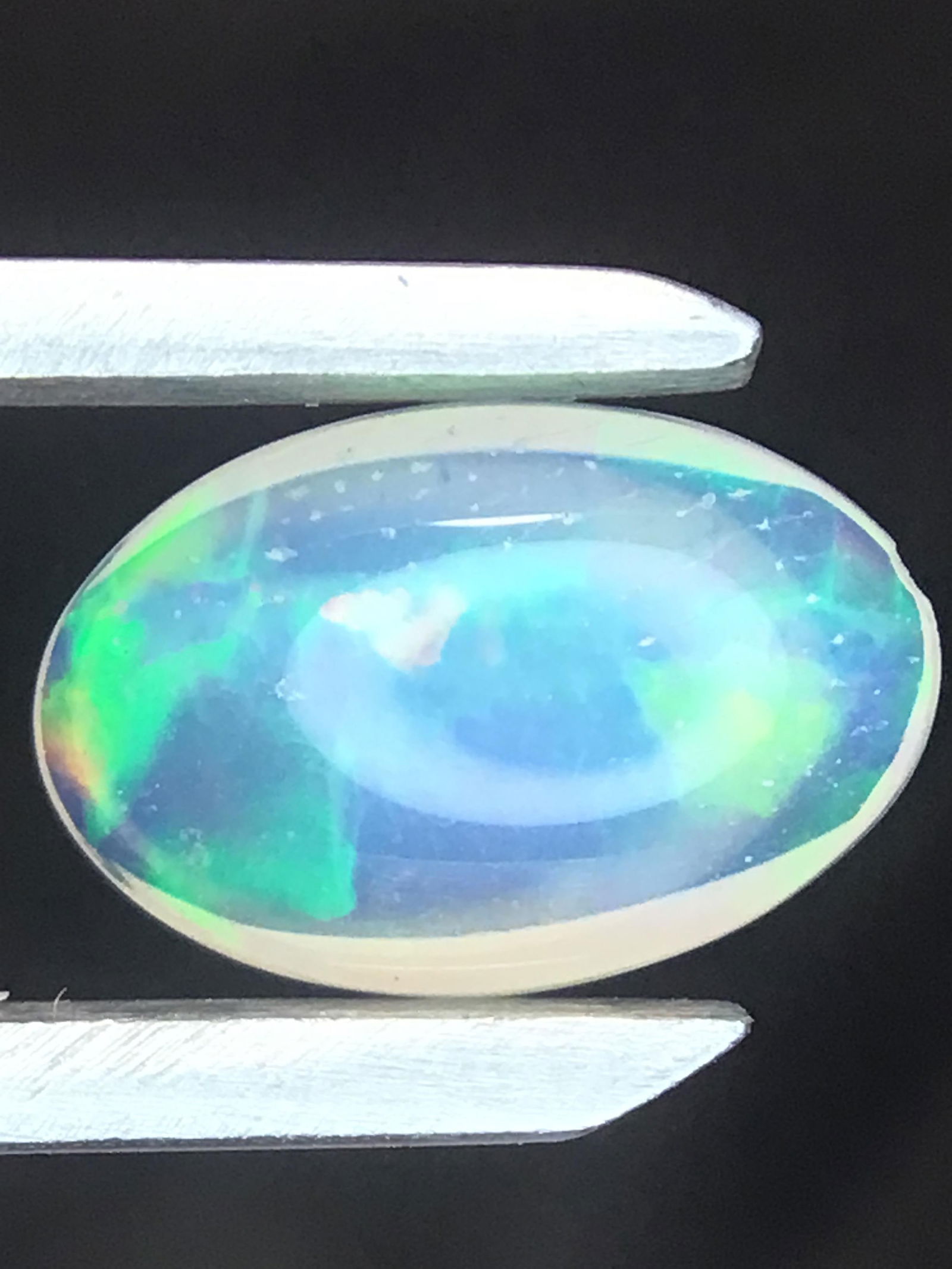 Opal 1.35 (1 of 4)