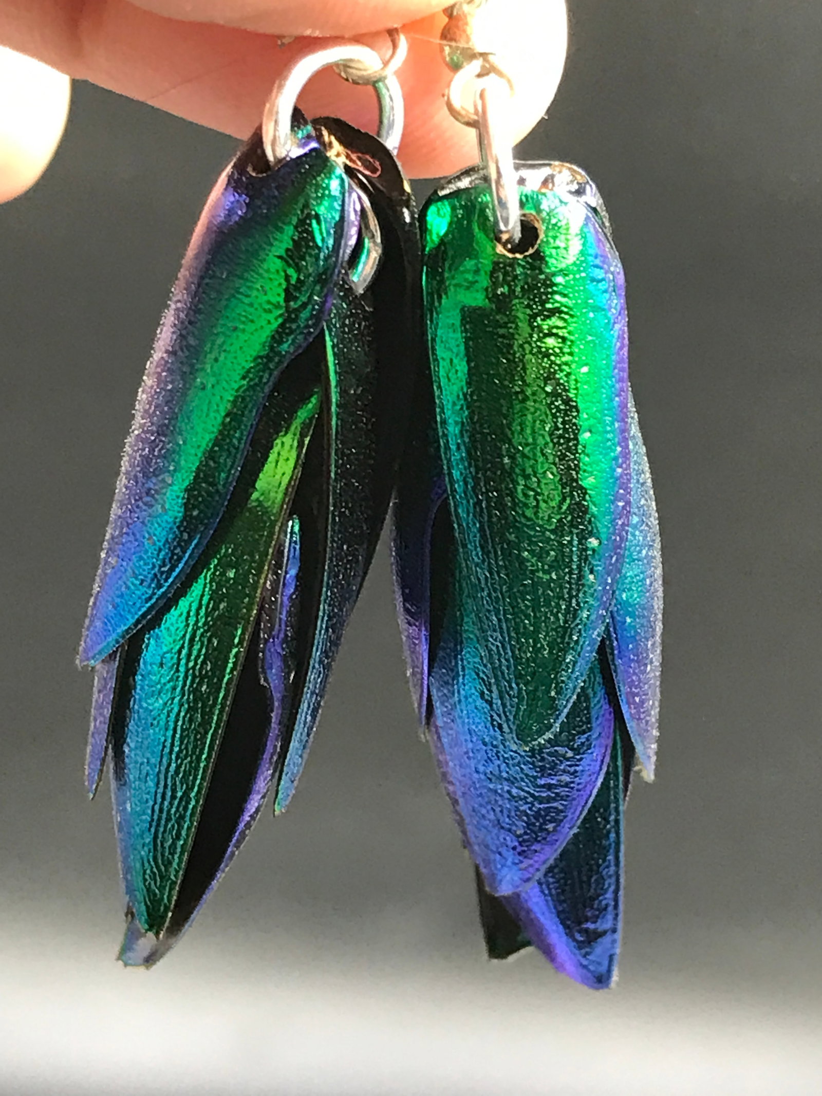 Rock, Crystal, Natural, Jewelry, Ear Rings, Insect: Beetle Wing Earrings Thailand