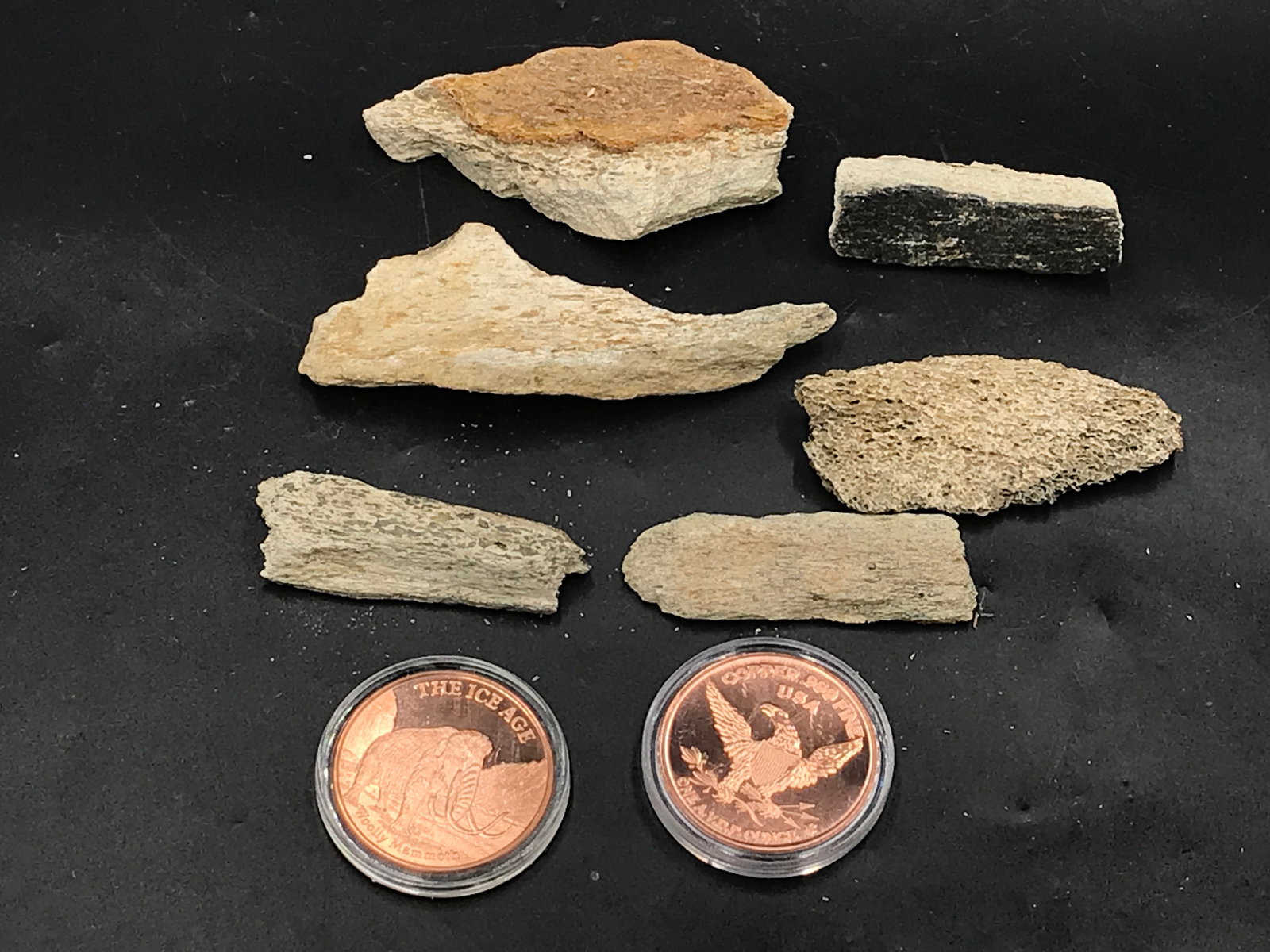 Mammoth, Fossil, Natural, Collectible, Bone, Coin: Mammoth Bones North Sea Netherlands & 2 Mammoth Copper Coins