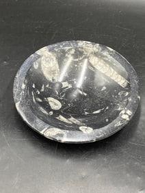 Orthoceras, Fossil, Rock, Natural, Decor, Collectible, Bowl