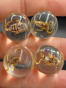Rock, Crystal, Acrylic, Decor, Collectible, Marbles, Scorpion