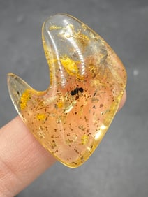 Amber, Fossil, Natural, Collectible, Specimen, Insect