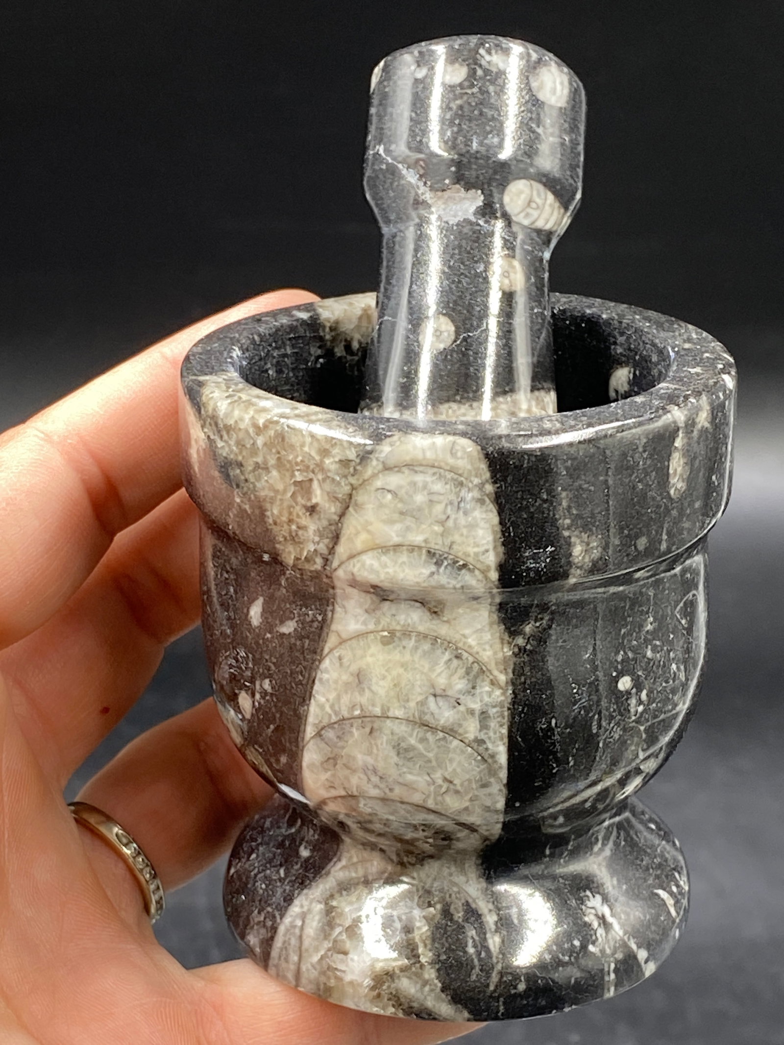 Orthoceras, Fossil, Rock, Natural, Decor, Collectible, Mortar & Pestle (1 of 3)