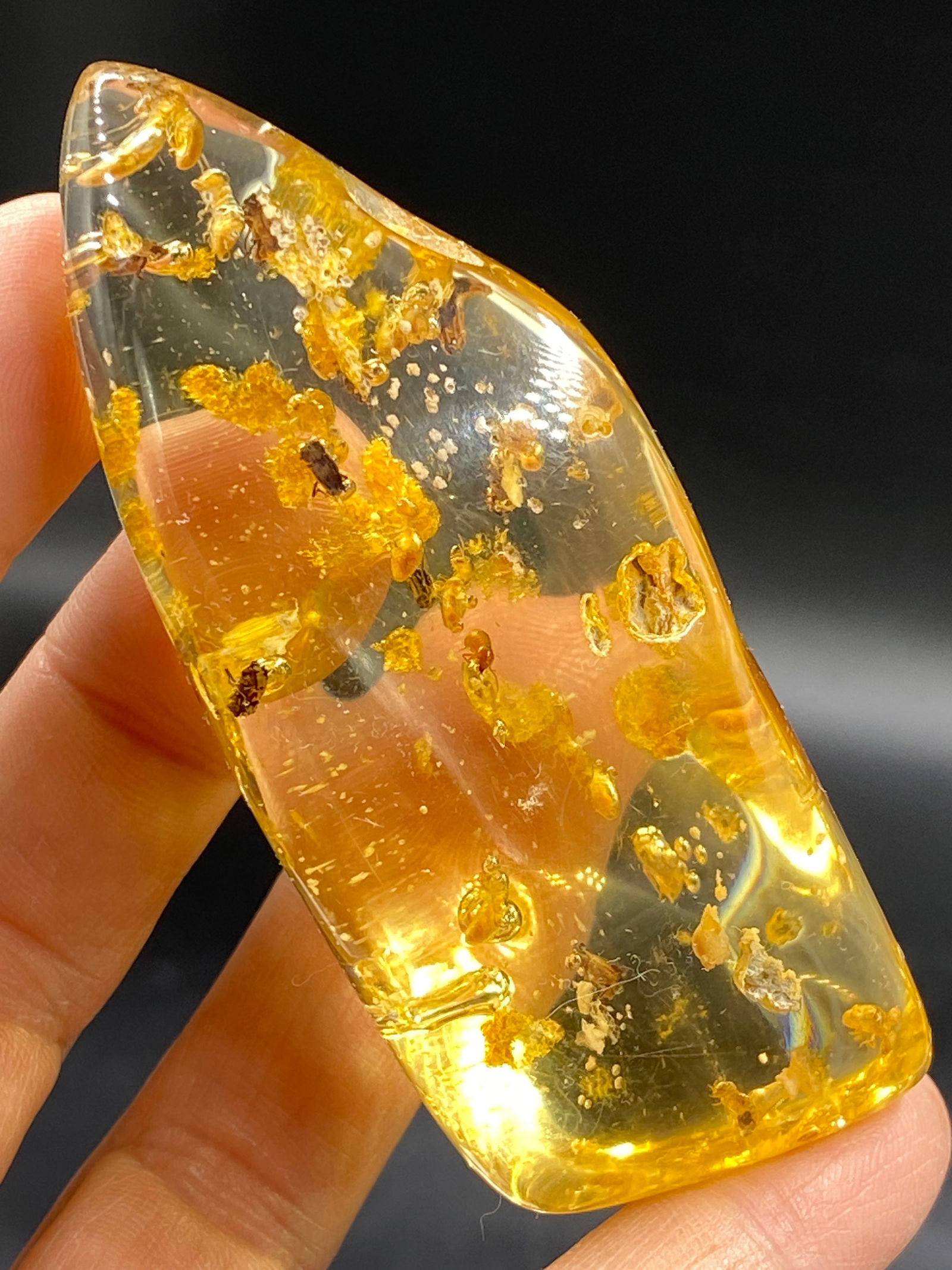 Amber, Fossil, Natural, Collectible, Specimen, Insect: Amber (Copal) with Insect Inclusion Colombia 42g