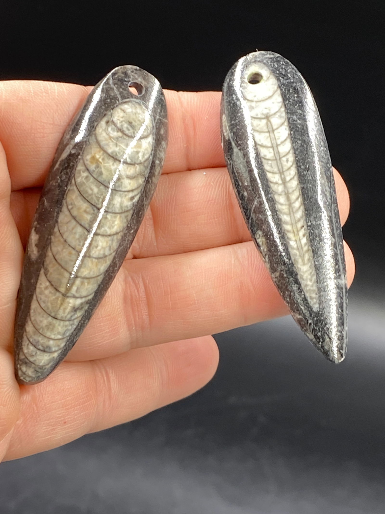 Orthoceras, Fossil, Rock, Crystal, Natural, Jewelry, Pendant, Sterling: Fossil Orthoceras Marble Pendants
