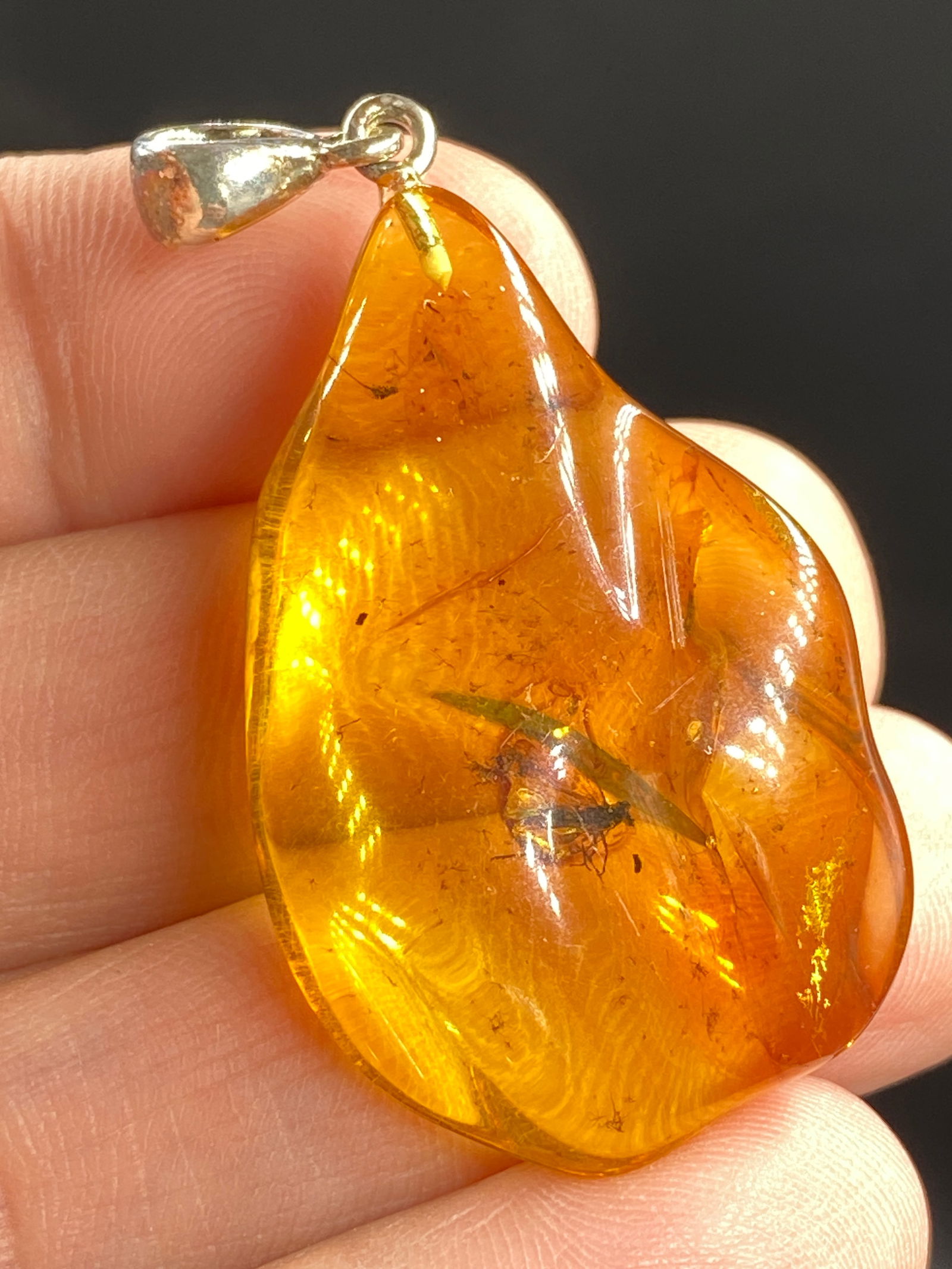 Amber, Baltic, Natural, Collectible, Jewelry, Pendant, Insect (1 of 4)