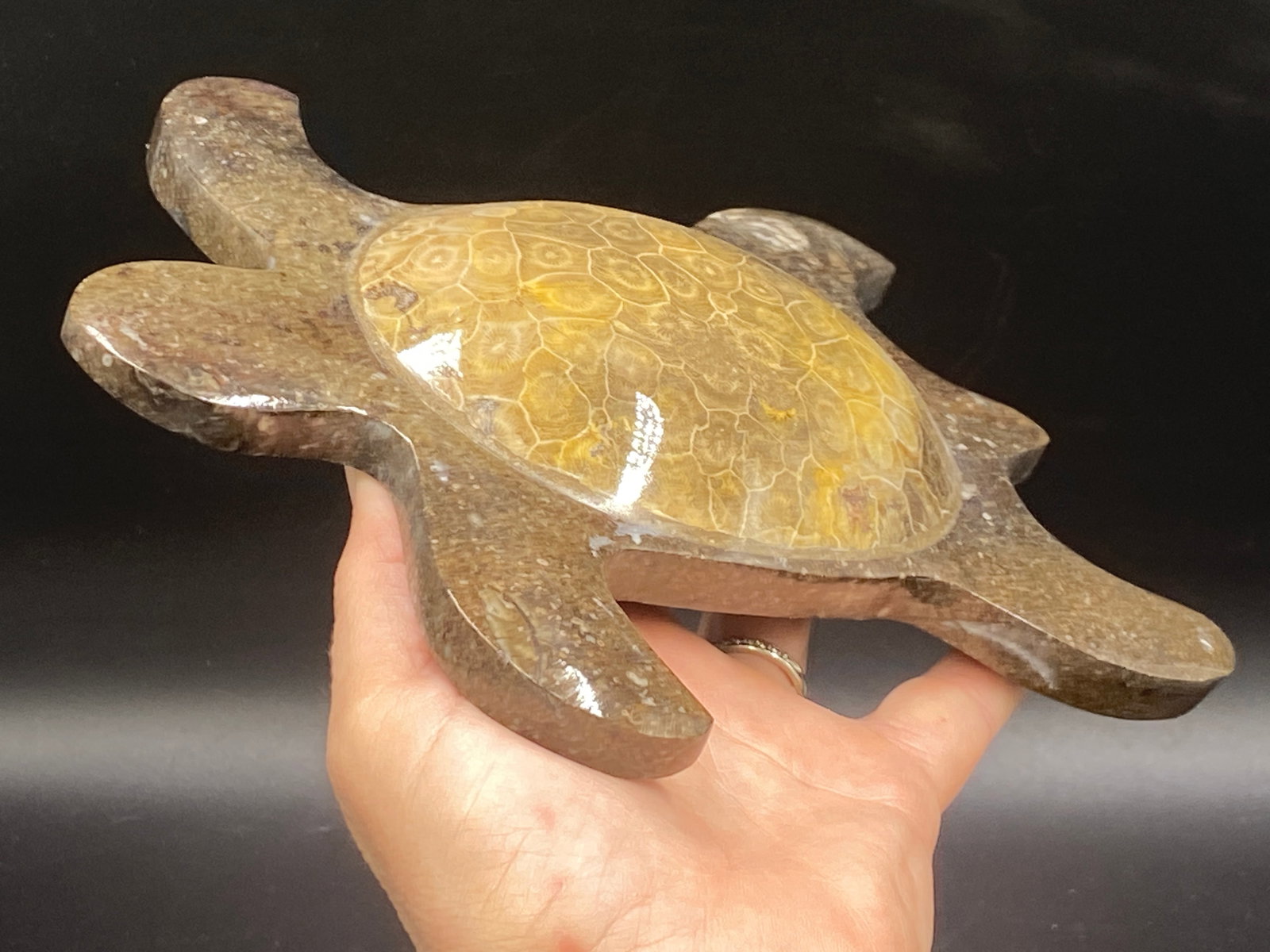 Coral, Rock, Crystal, Natural, Decor, Collectible, Carving, Turtle (1 of 3)