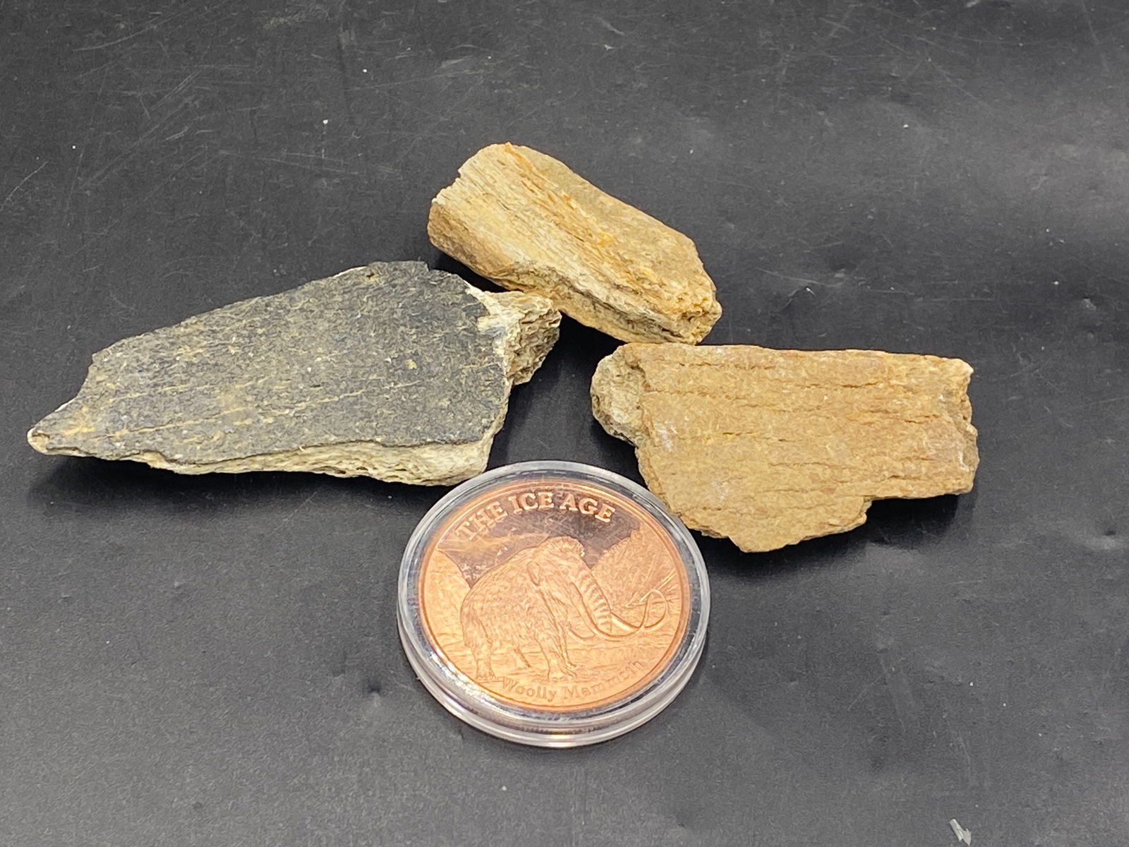 Mammoth, Fossil, Natural, Collectible, Specimen, Bone, Coin, Copper: Copper Mammoth 1oz Coin Fossil Mammoth Bones North Sea Netherlands