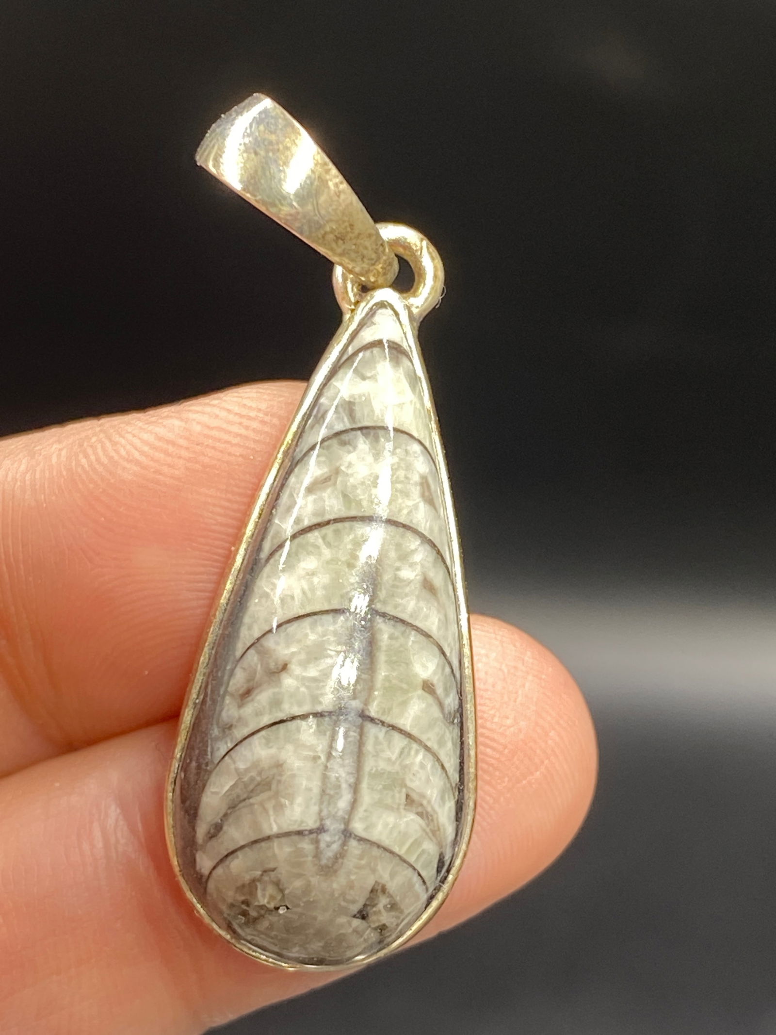 Orthoceras, Fossil, Rock, Natural, Pendant, Collectible, Jewelry, Sterling: Fossil Orthoceras Pendant Sterling Silver