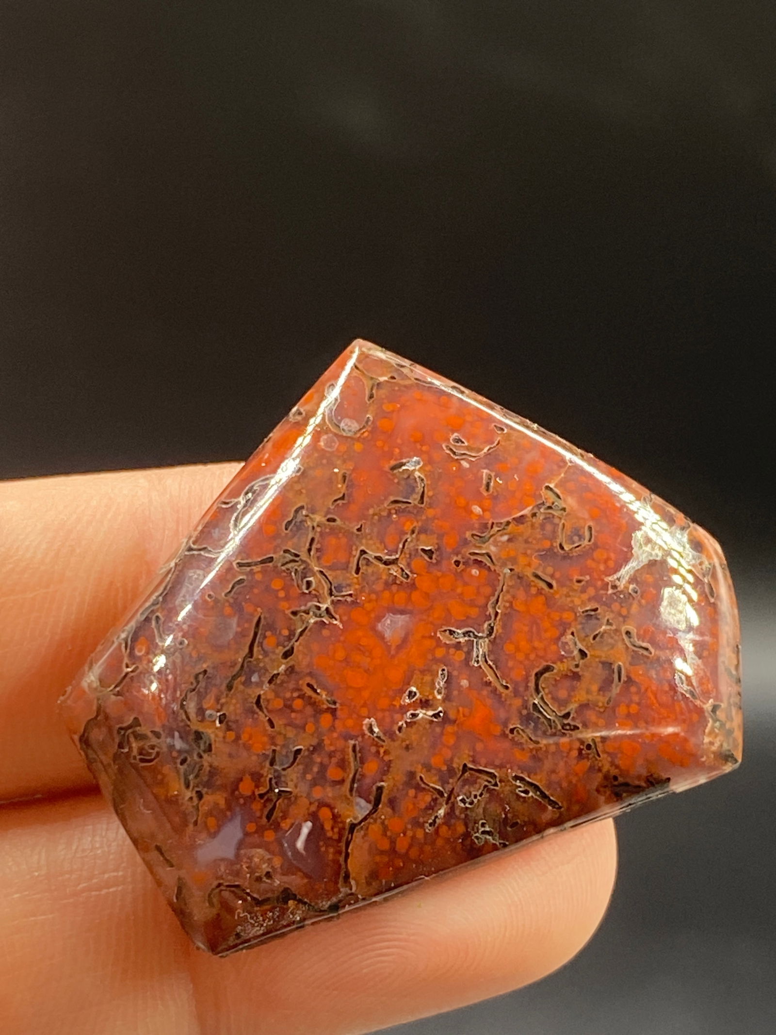 Fossil, Dinosaur, Bone, Natural, Jewelry, Lapidary, Cabochon: Dinosaur Bone Cabochon UT