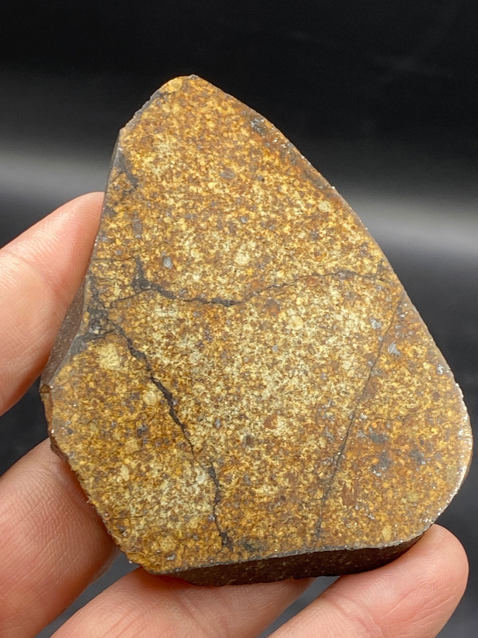 Meteorite, Rock, Crystal, Natural, Collectible, Outerspace, Slab (1 of 5)